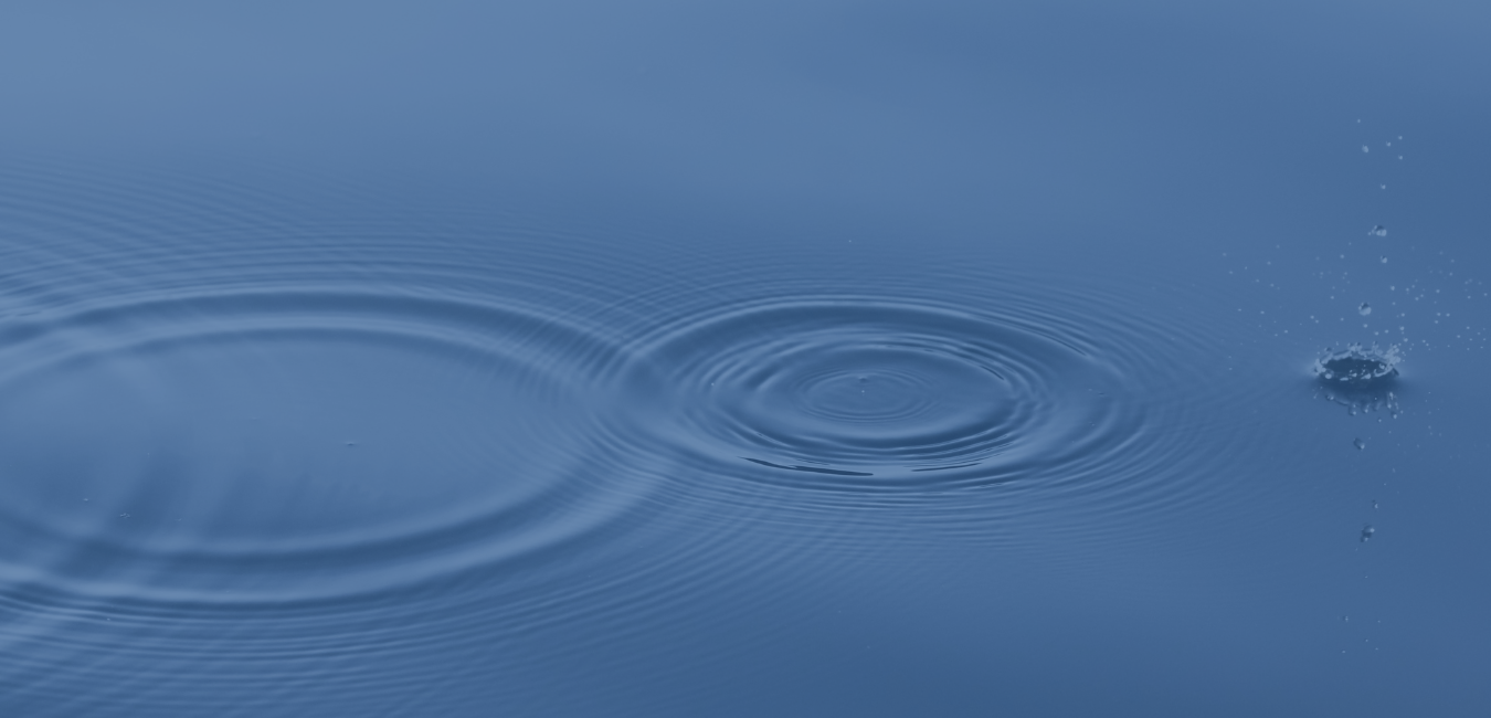 Website Banners & Buttons (2).png