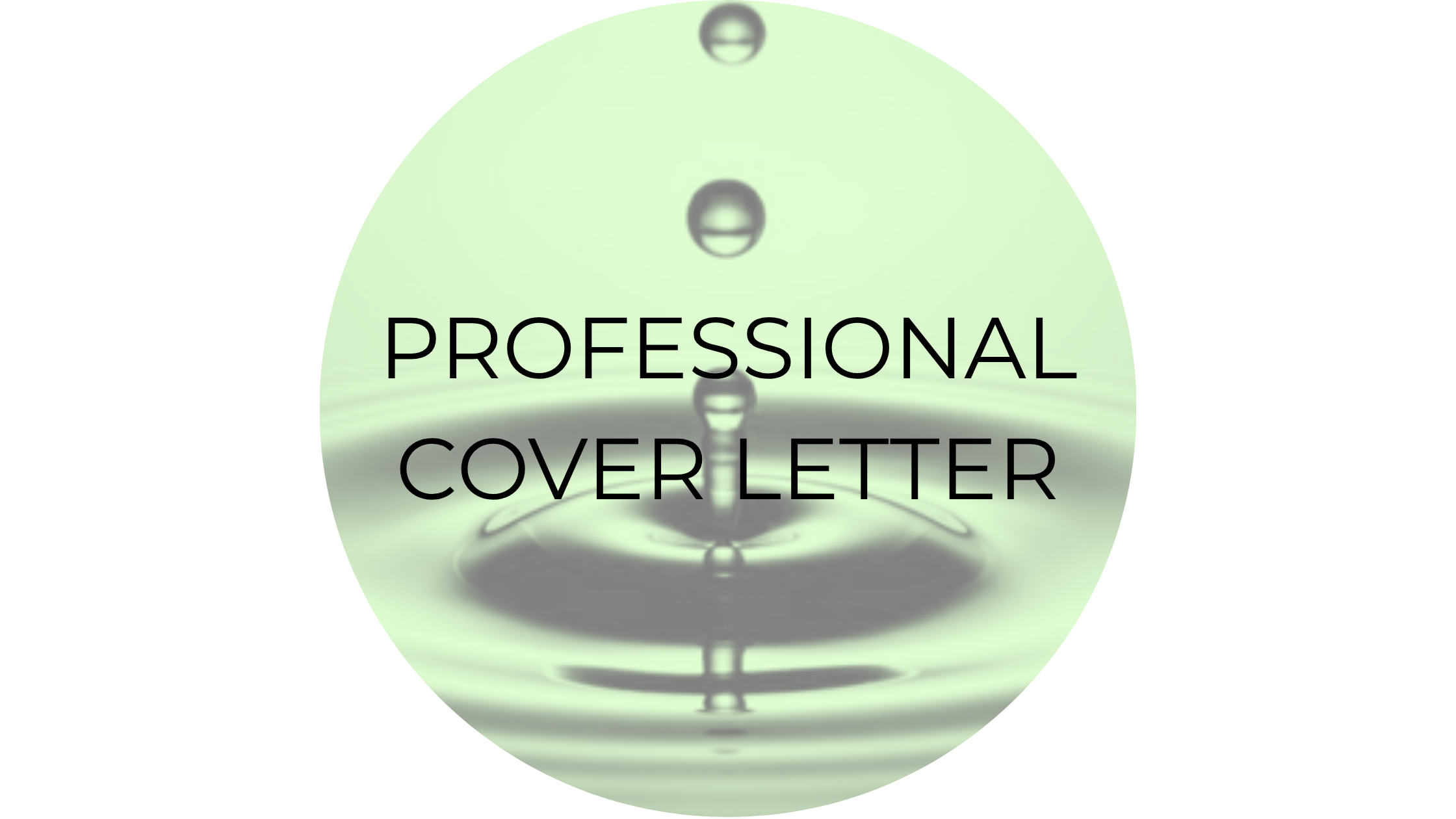 PROFESSIONAL COVER LETTER