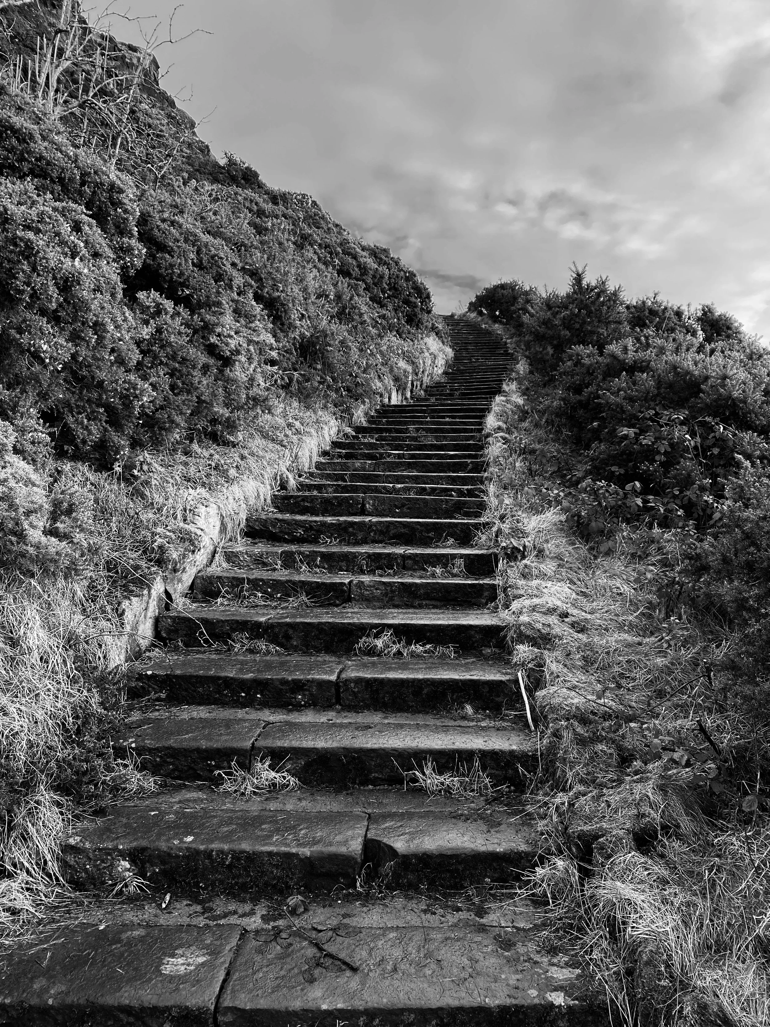 A long set of worn stone stairs ascending a hillside surrounded by bushes and grass, under a cloudy sky.