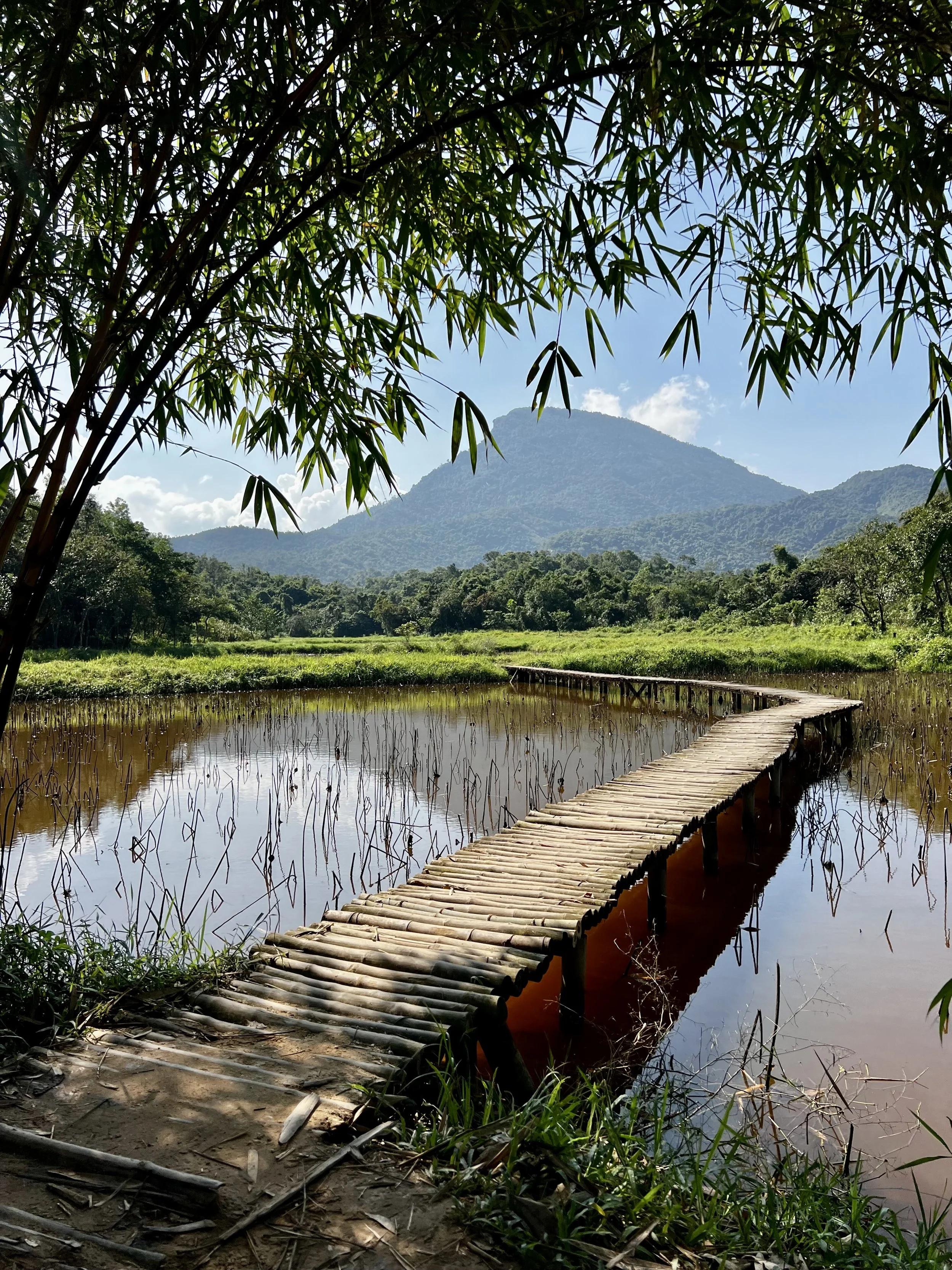A bamboo walkway crossing a reddish pond in a lush green landscape with mountains in the background and partly cloudy sky.