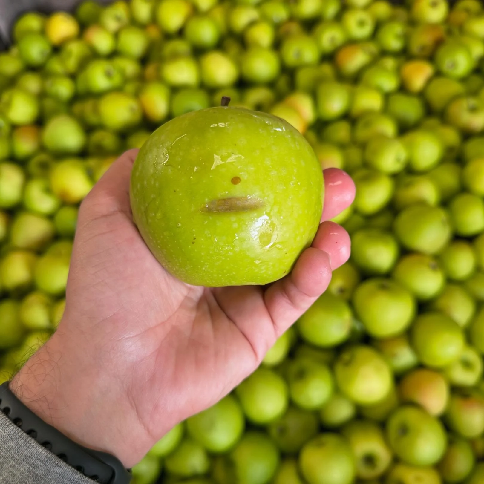 Cole&rsquo;s or Woolies won&rsquo;t accept them. We will! Perfectly beautiful crisp local Granny Smiths 🍏 👌🏼❤️ #perth #perthbreakfast #perthcafe #madeinperth #perthfoodie #freshjuice #coldpressedjuice
