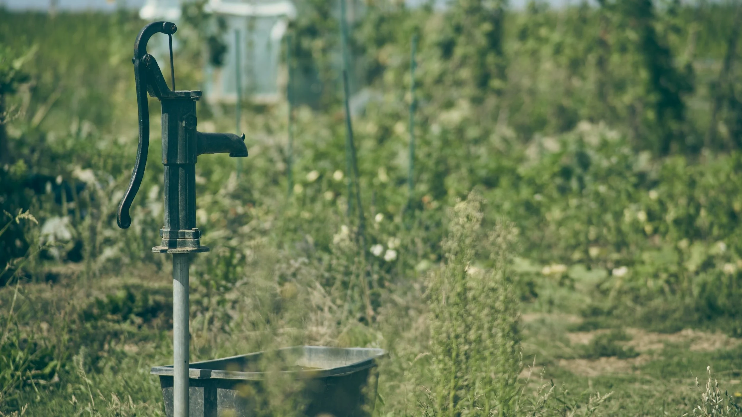 Pump Systems for Water Wells: Ensuring Reliable Water Supply
