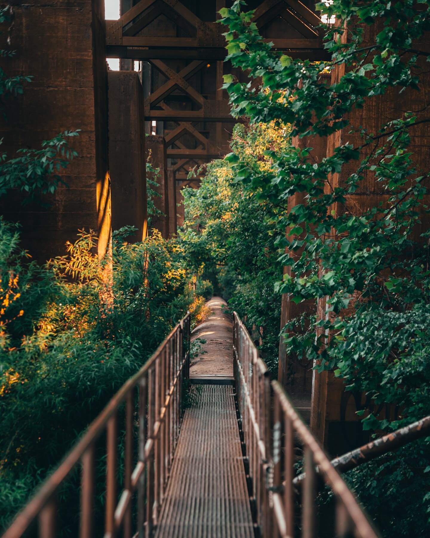 My favorite place to be in Richmond&hellip; what&rsquo;s your favorite place in RVA? 
&bull;
&bull;
&bull;
#nikon #nikonphotography #nikonz6 #nikonphotographer #teamnikon #rvaphotographer #rvaphotography #iconiclocation #rvamag #abandonedplaces #natu