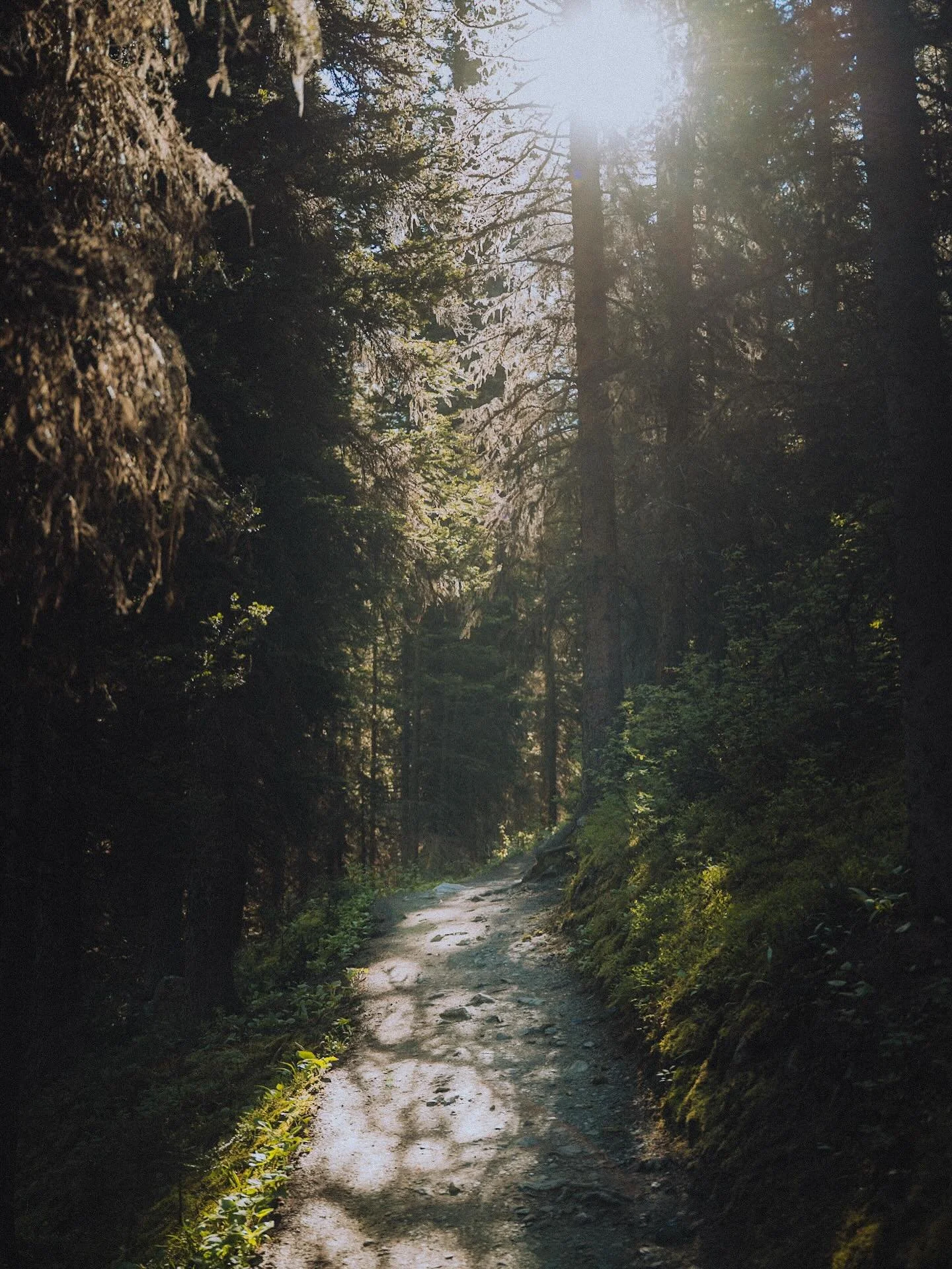 From my most recent trip to Banff. So many beautiful hikes and trails, I feel like I could make another 20+ trips in my lifetime and still not see them all. 

If you missed it the print shop has been updated with all new prints with even more on the 