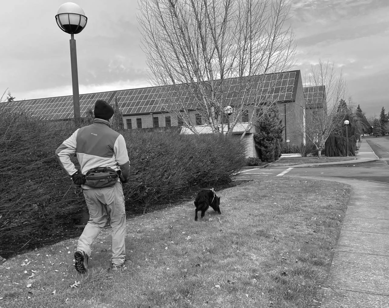A person tracking with a dog in a suburban area on a cloudy day, black and white photo.