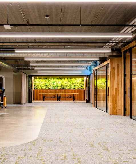 bASIS TECH zoom out.PNG