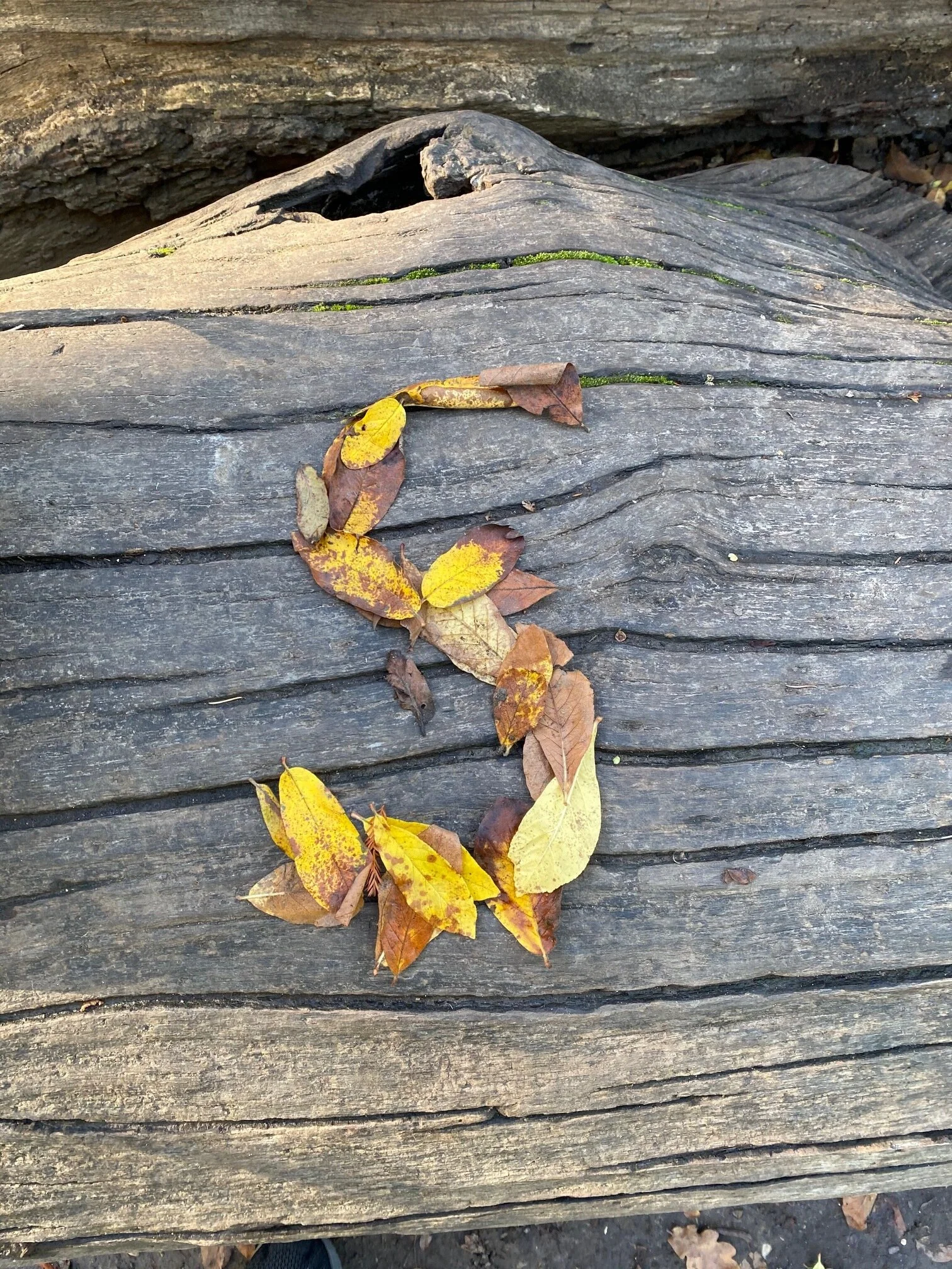 S initial