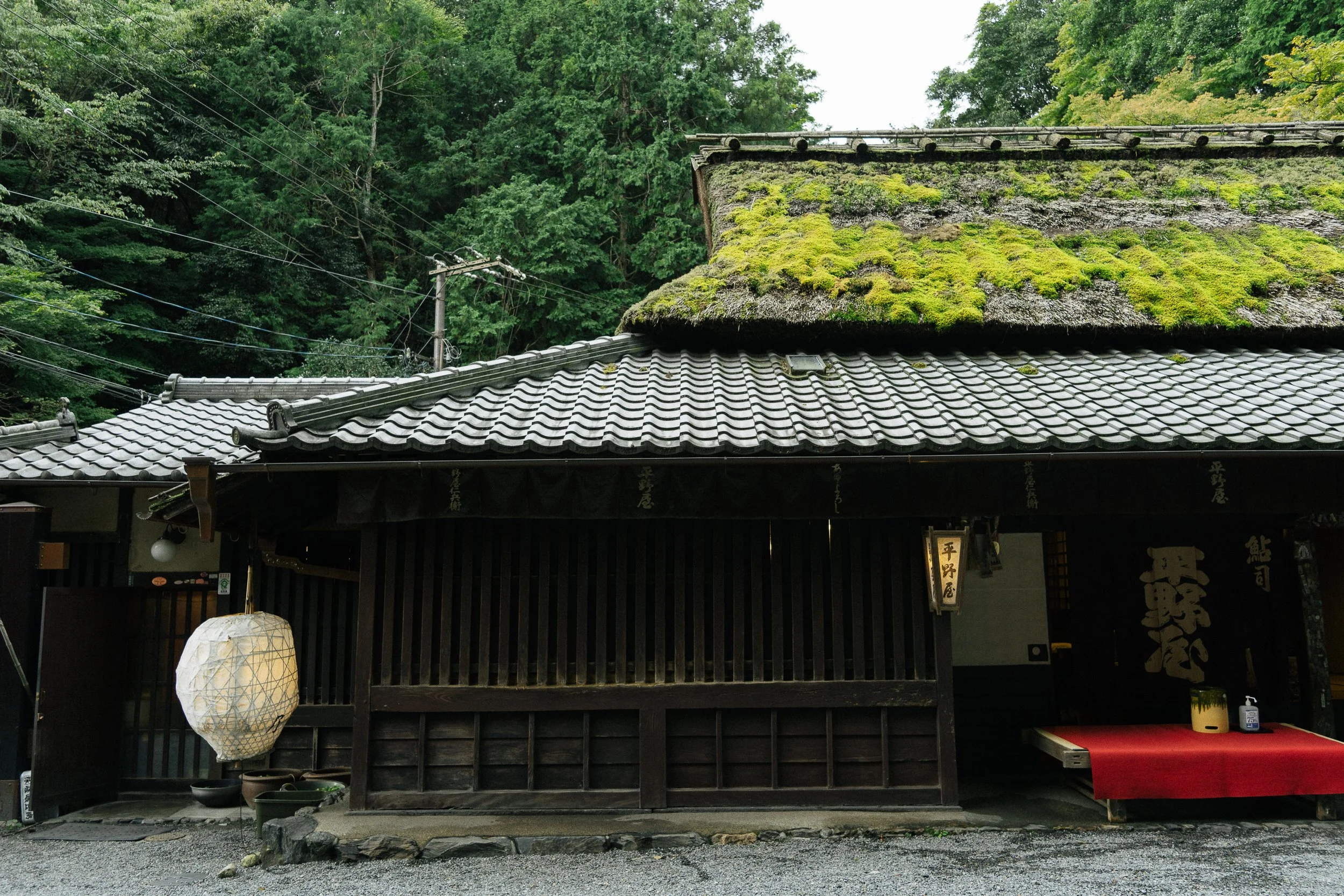 Arashiyama Kyoto Guide: Bamboo Grove, Temples, Cafes & Scenic