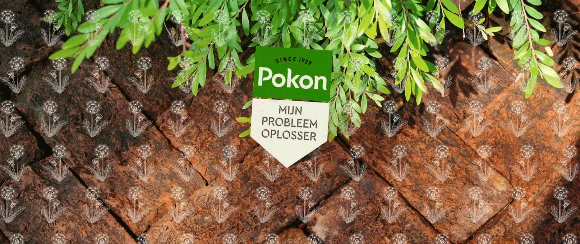 POKON - JE TUIN IN TOP VORM ONKRUID - TVC
