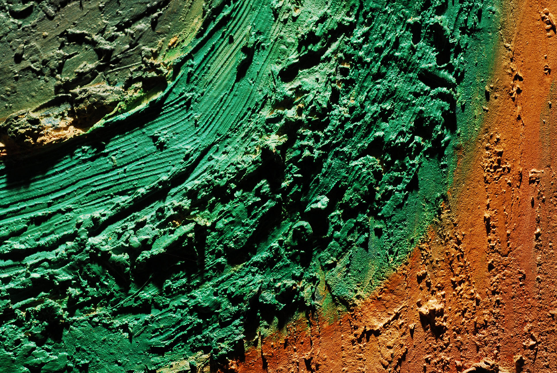 DSC_5919 - Copia.JPG