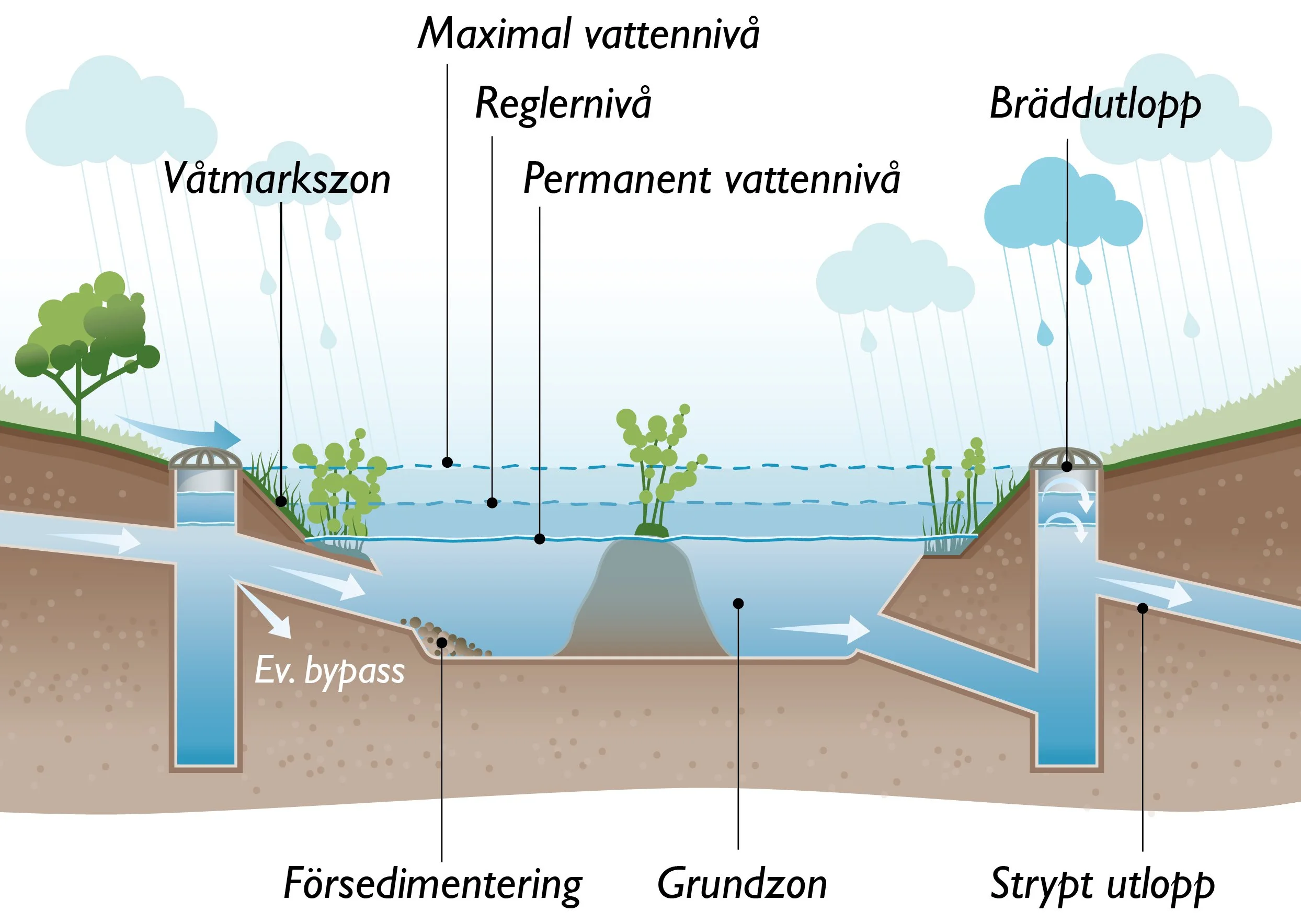 infografik, dammar och våtmarker, dagvatten, dagvatten hantering, illustration, avrinning, ale-kommun, 