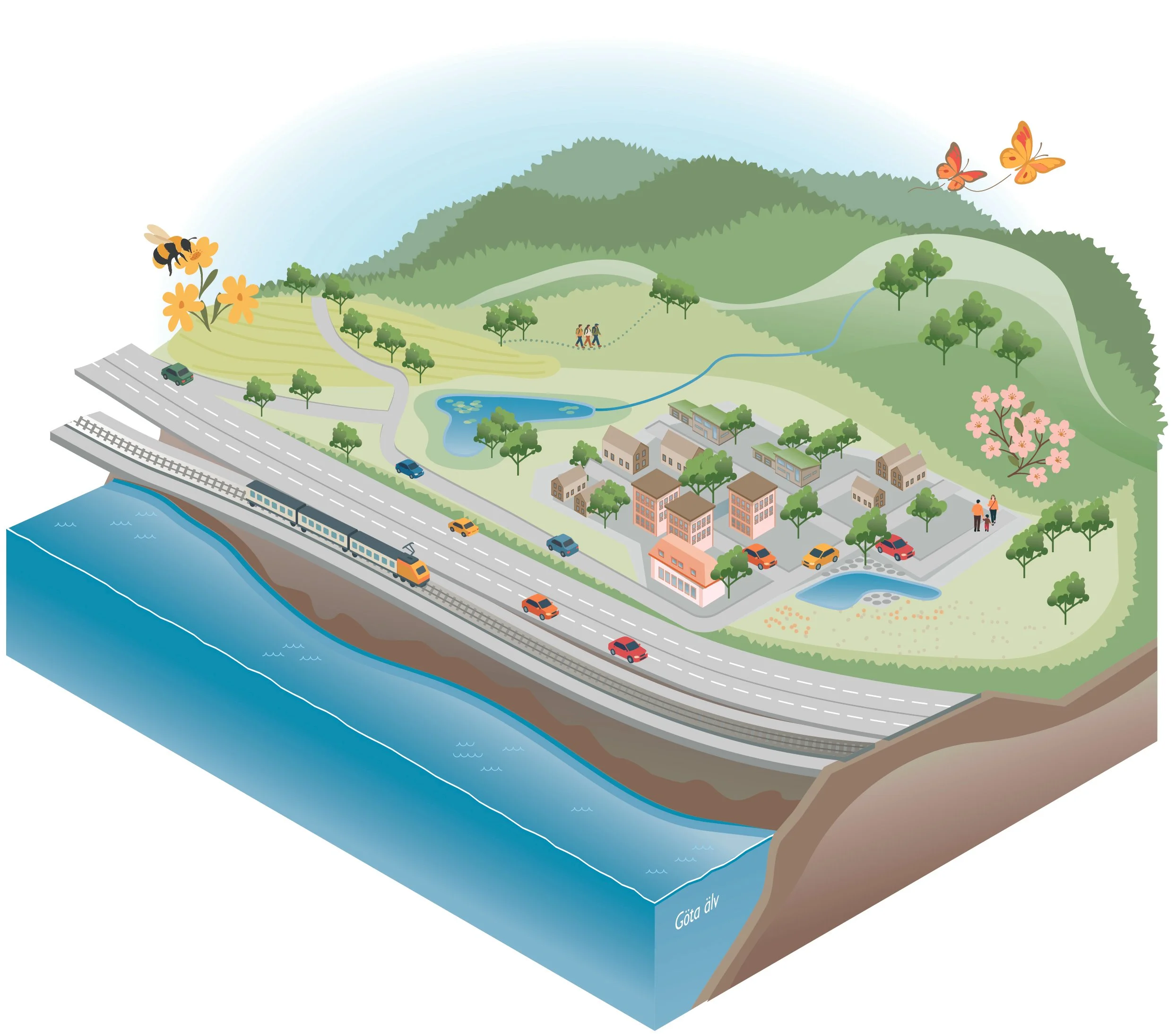 infografik, Ekosystemtjänster, dagvatten, dagvatten hantering, illustration, avrinning, ale-kommun, 