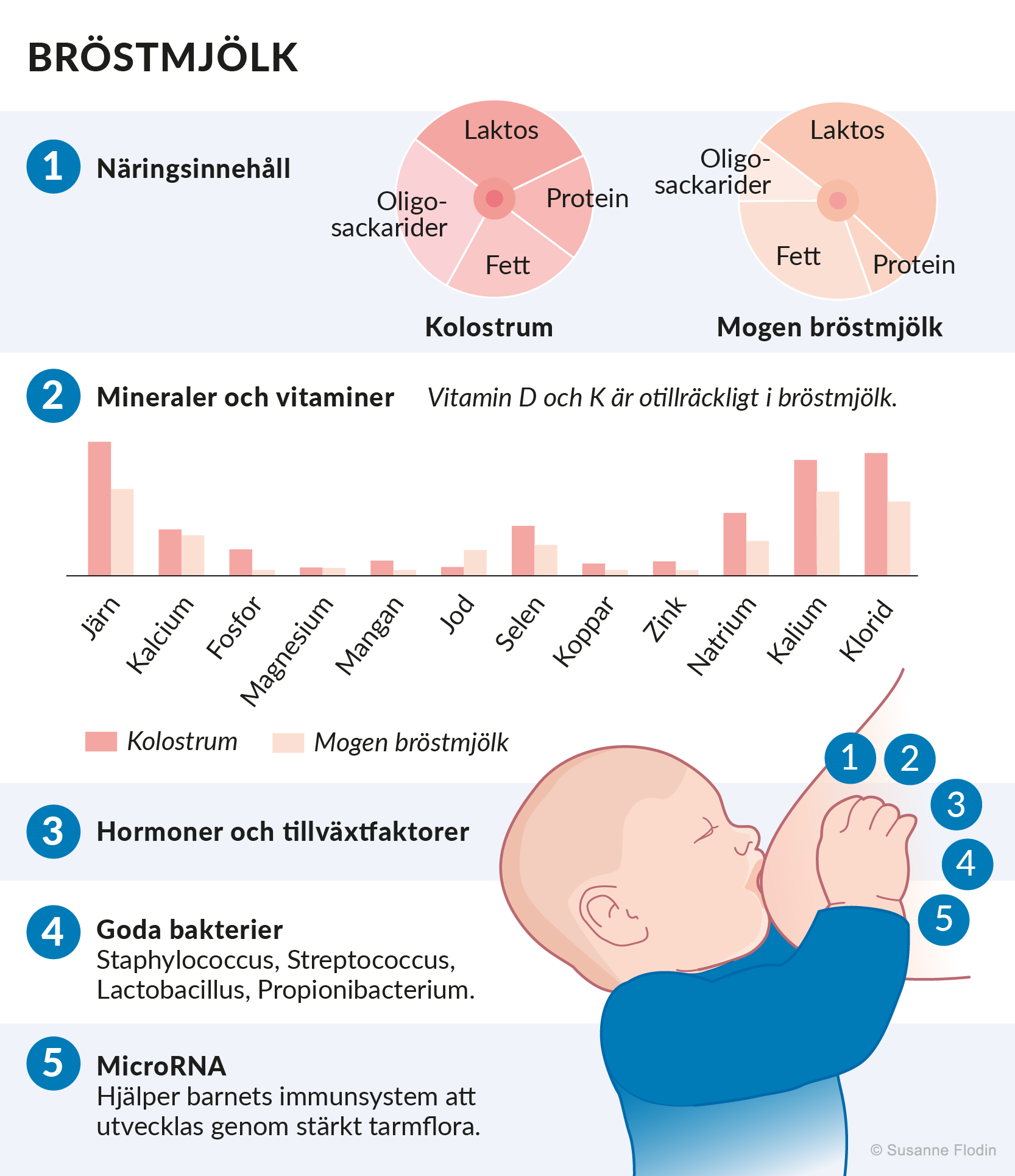 medicinsk illustration, medicin, illustration, bröstmjölk, näringsinnehåll, rikshandboken för barnhälsovård