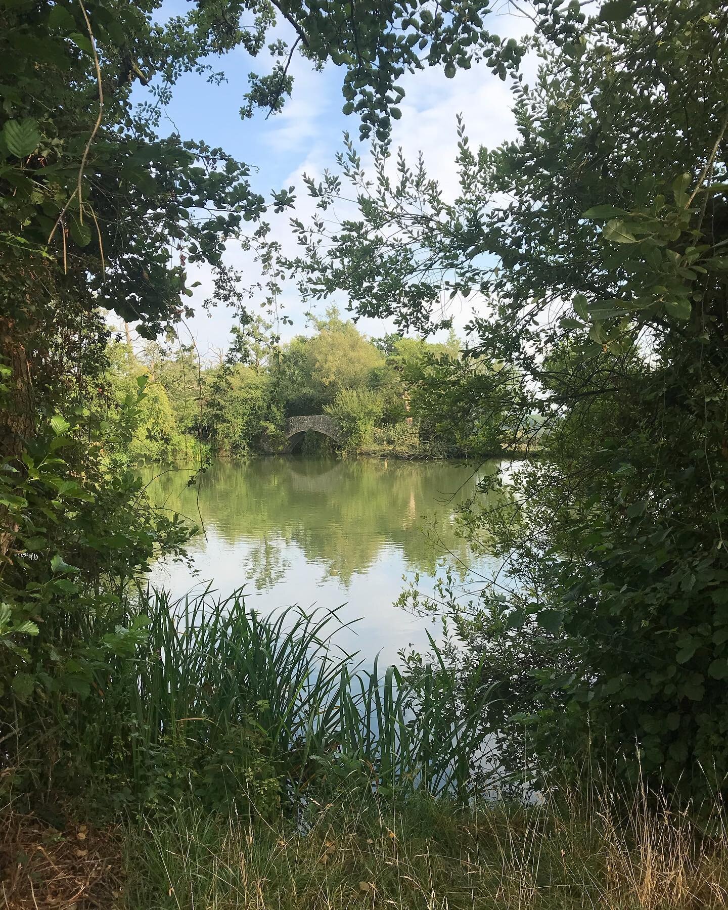 Perfect afternoon by the lake and a Kingfisher flew by! #oxonhoath #perfectday #wildplaces #yogaretreats #meditationspace #familygettogether #kentretreats #corporateevents #corporatewellness #corporateawaydays