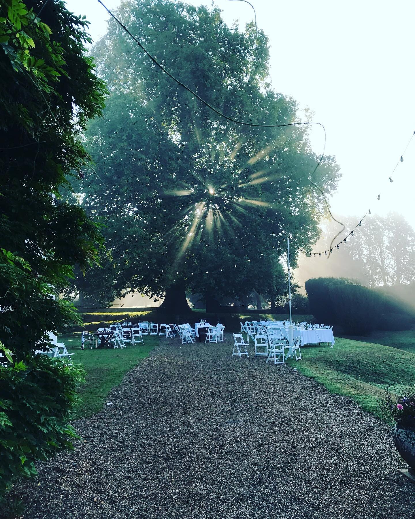 The morning after the night before the beautiful wedding of Alexis and Joe #sunrise #mistymorning #magicalnature #oxonhoath #stillness