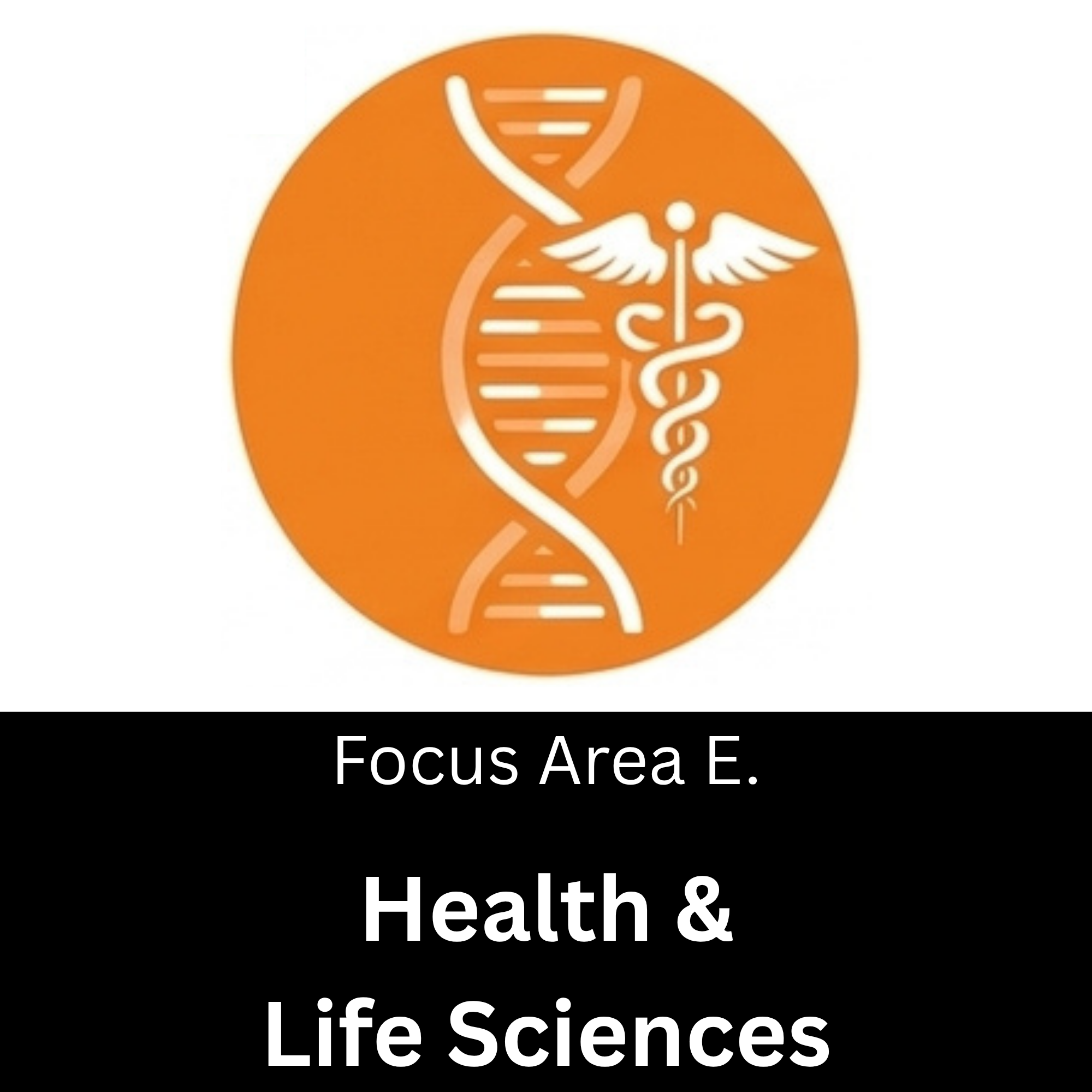 E (3).png