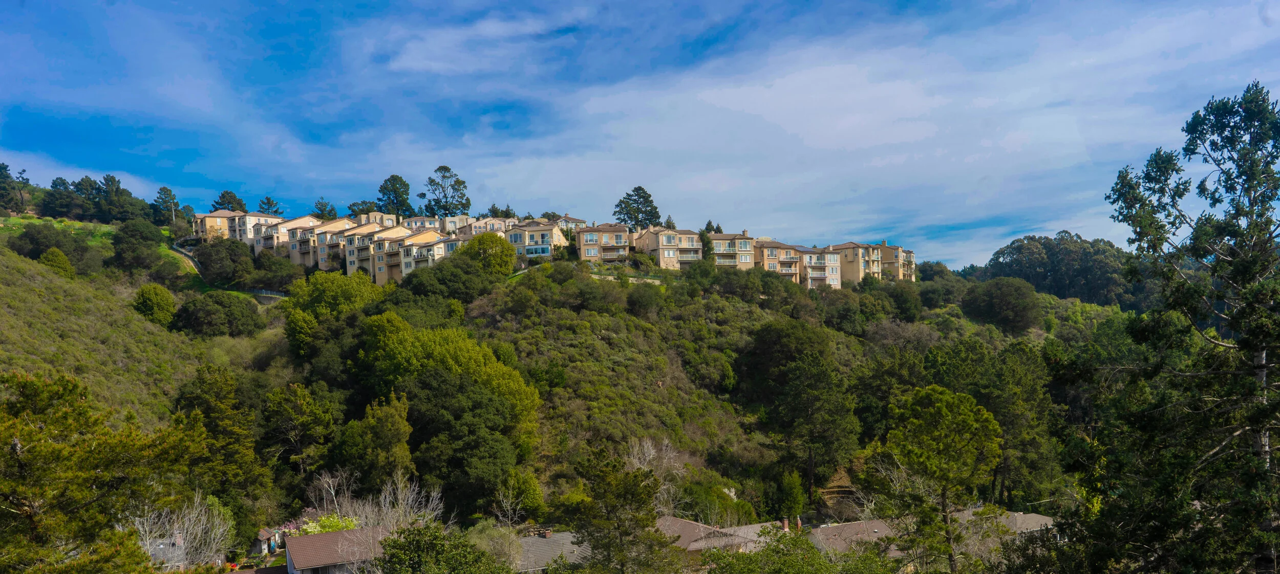 MNT APTS.jpg