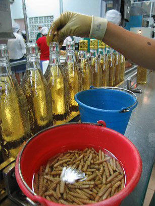 Mezcal worms being added to mezcal bottle.