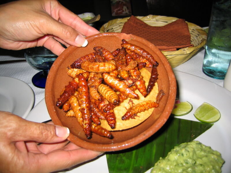 Red and white mezcal worms - the two types of mezcal worms