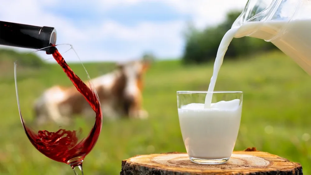 Why Wine Isn’t Vegan — Smartblend