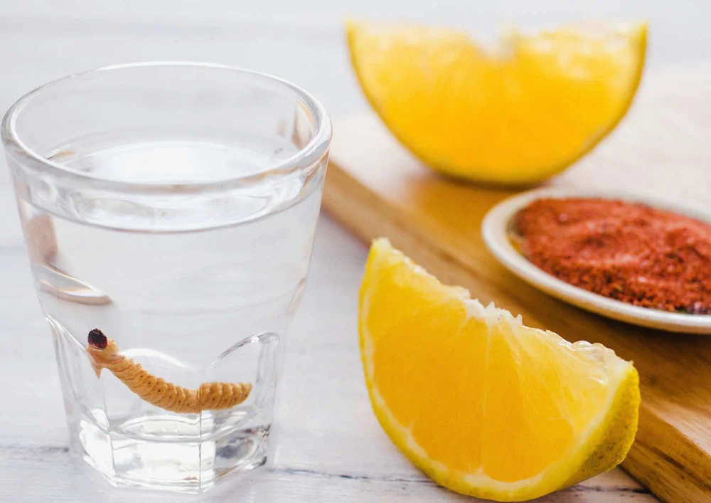 What is a Tequila Worm? Should you eat it? And why is it there