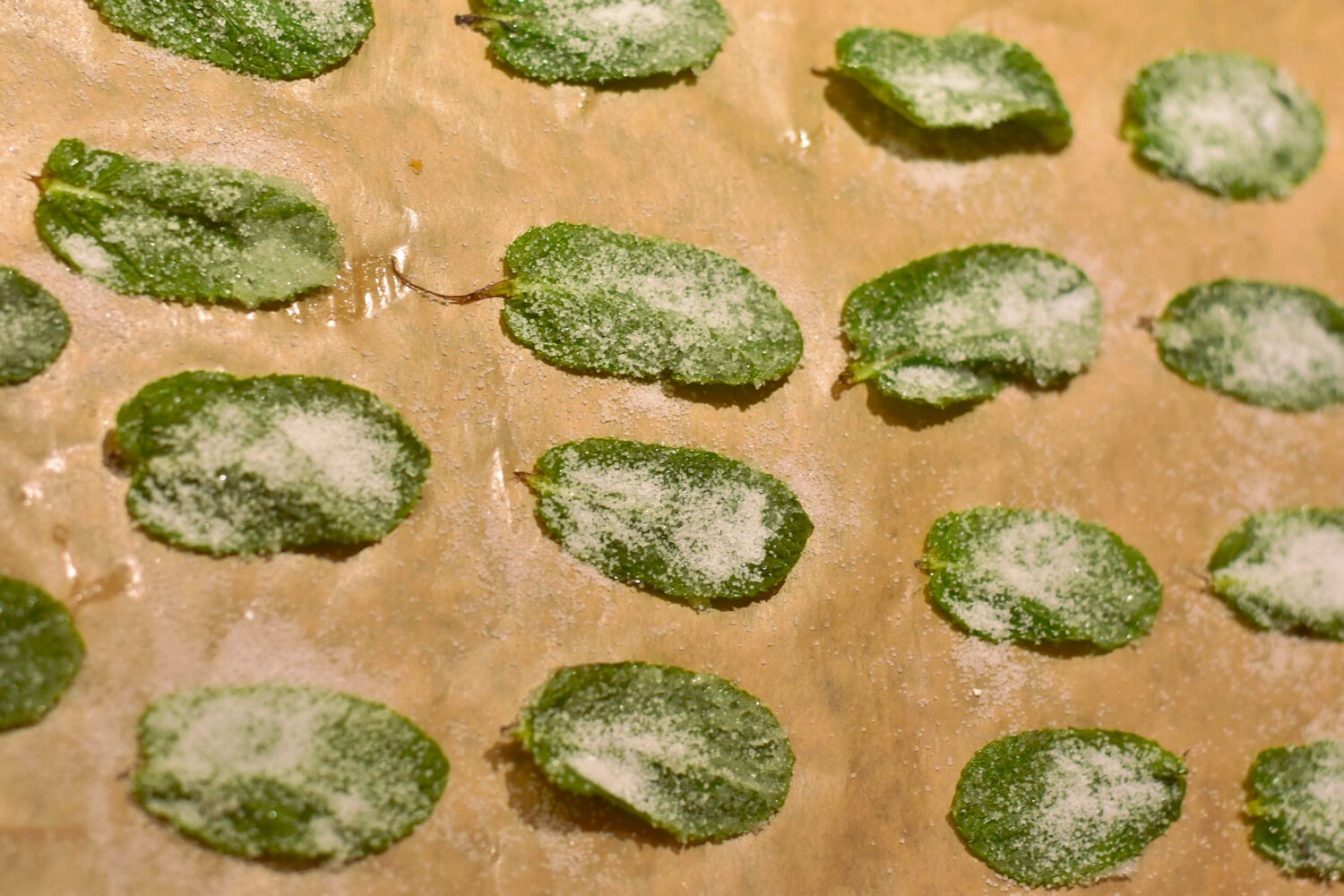 Traditional Candied Mint Leaves — Smartblend