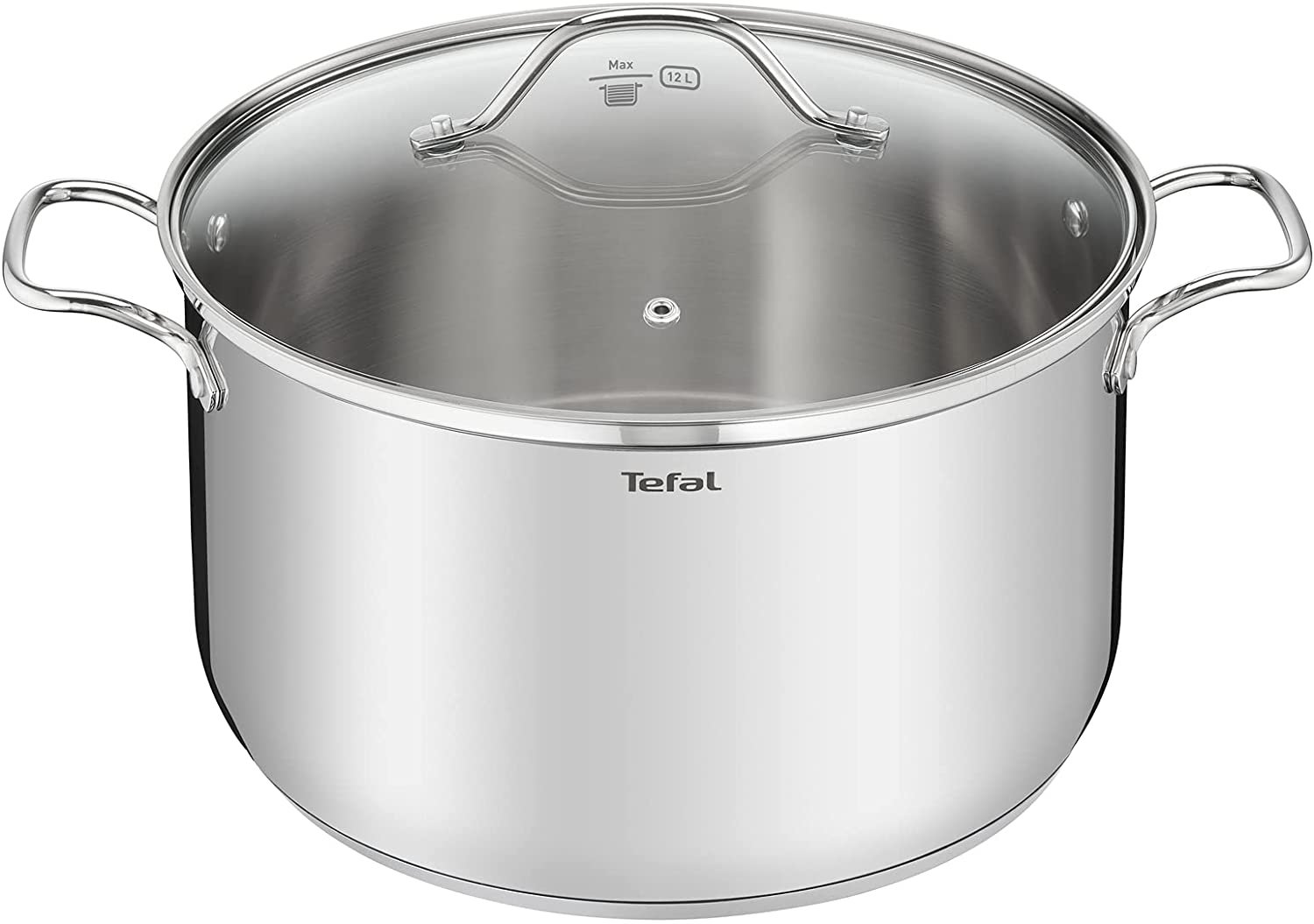 Tefal large 9.8l stockpot in silver.