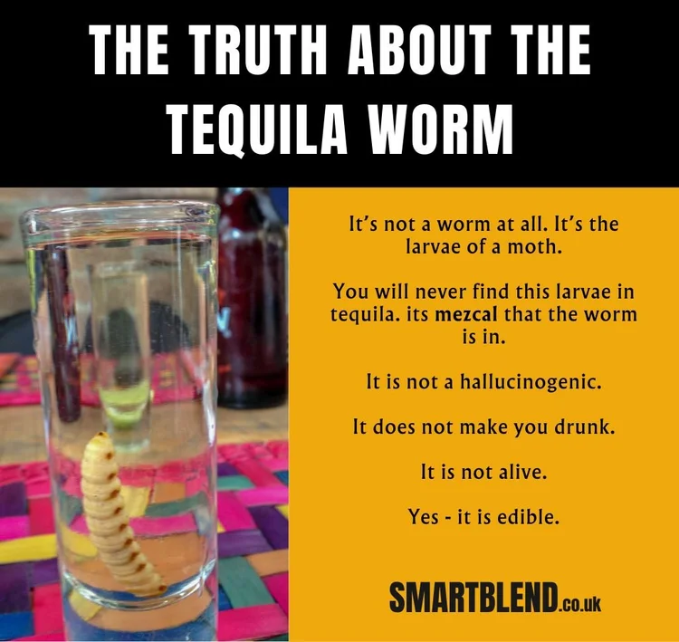 What is a Tequila Worm? Should you eat it? And why is it there
