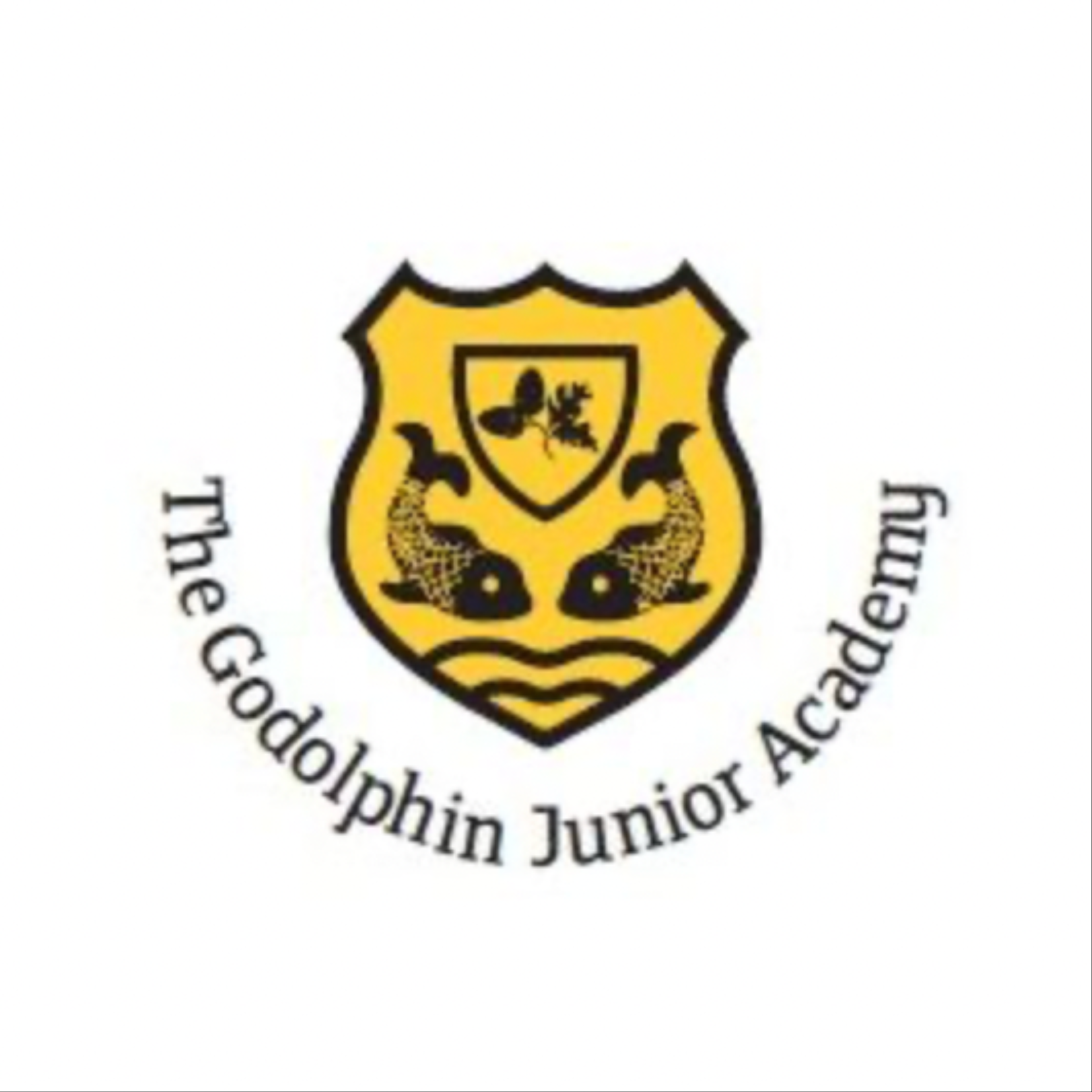 The Godolphin Junior Academy