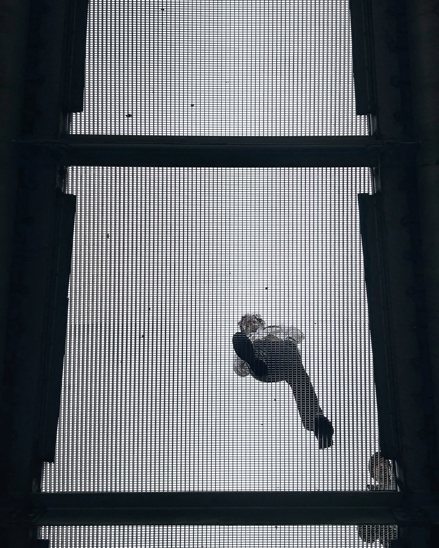 Just a public service announcement to say if you are holding out for a Black Friday deal on JBS safaris or gift vouchers, please don&rsquo;t as we don&rsquo;t offer them.  As a small business we won&rsquo;t be caught up in the hype of Black Friday, s