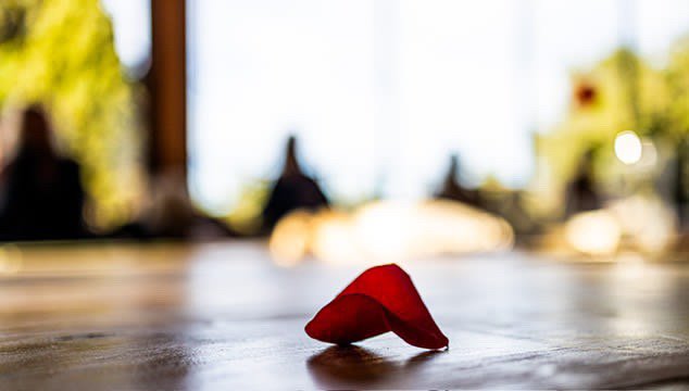 D0F28A09-C9F8-4250-9435-90AEF3D8960F.JPG