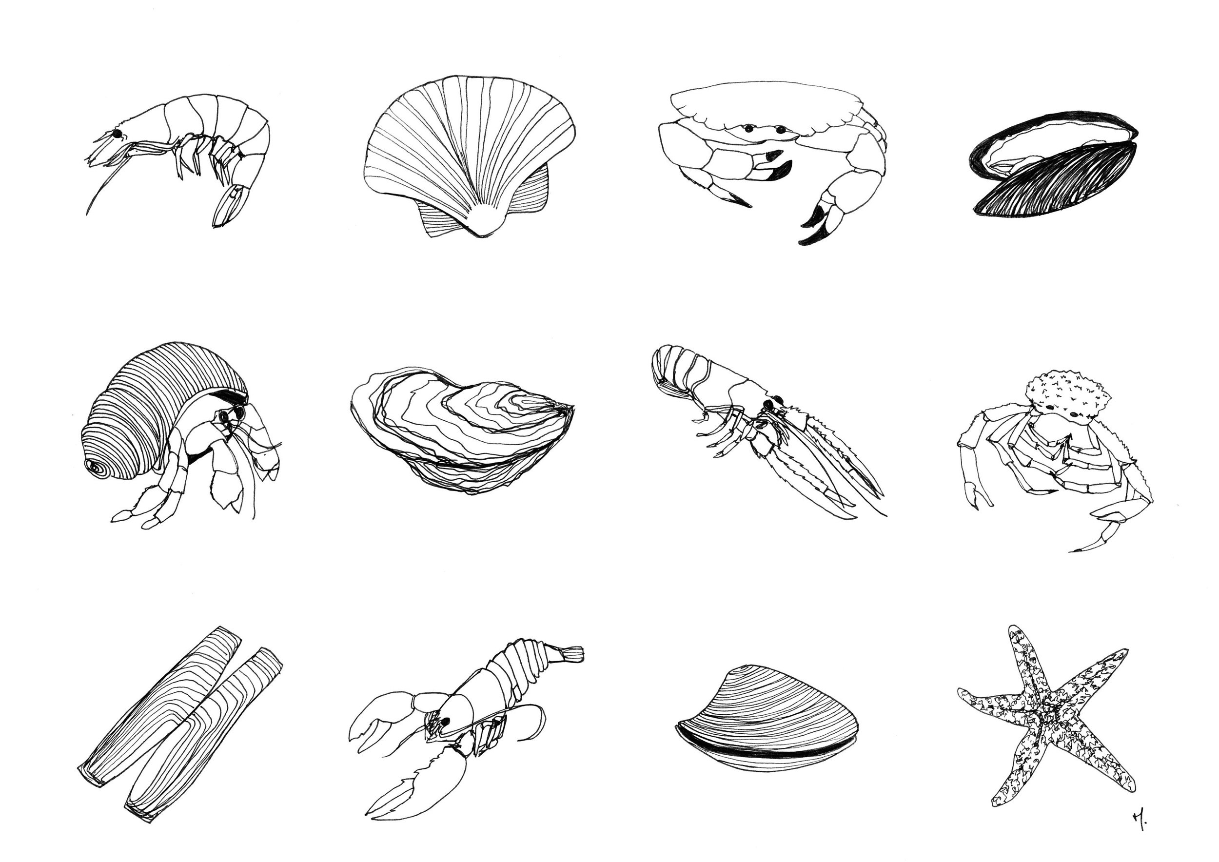 Affiche Coquillages et Crustacés