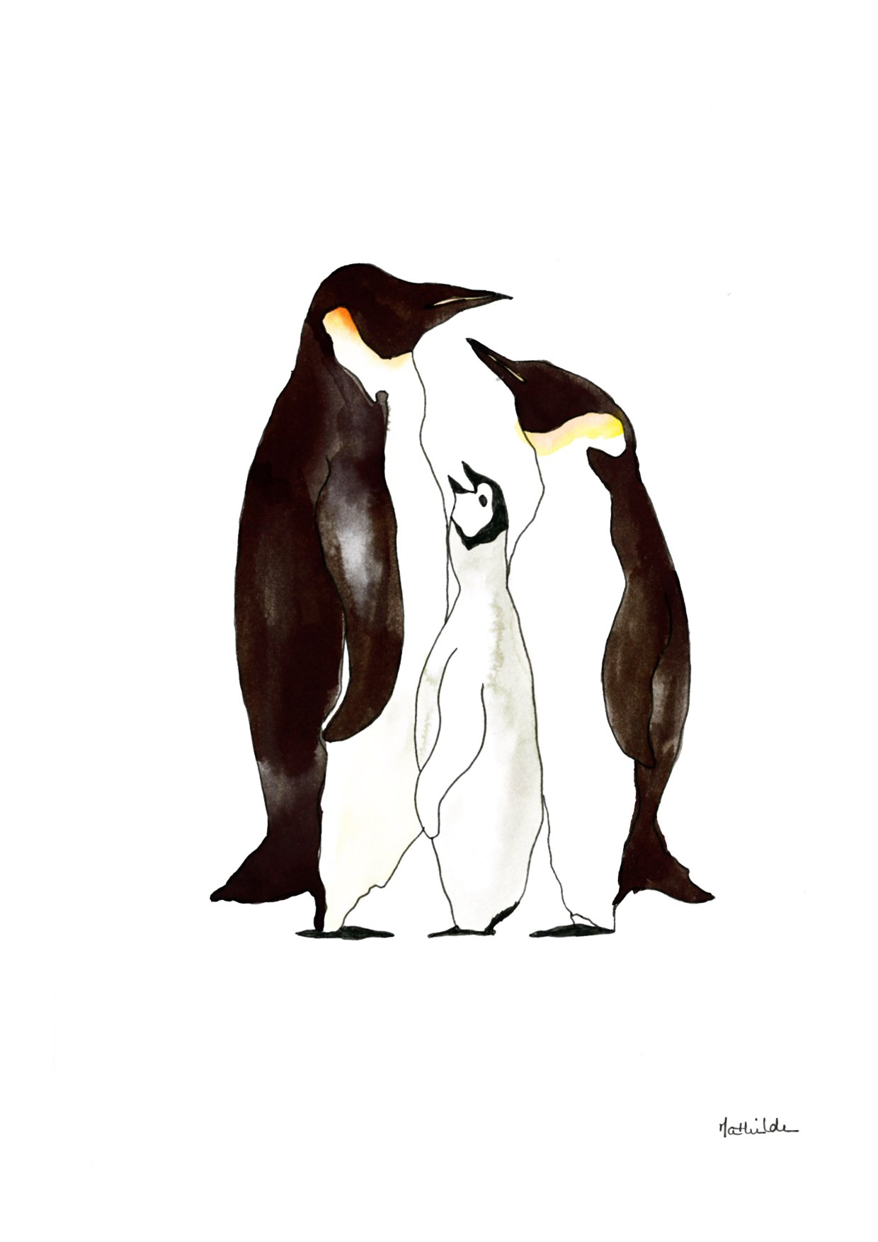 pingu.jpg