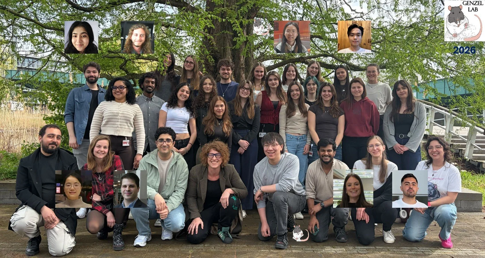 group 2026.jpg