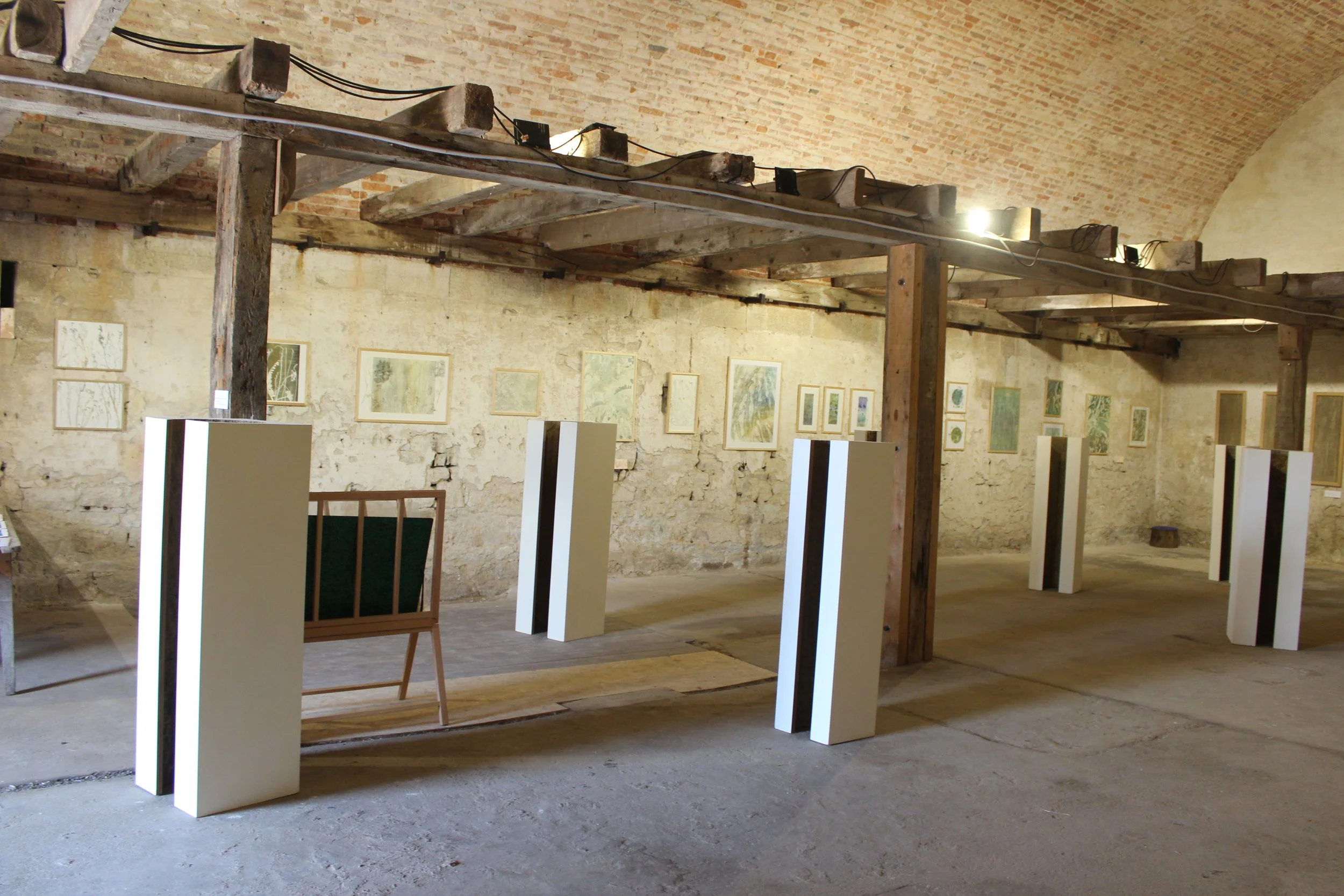 Exposition : “Là où la forêt rencontre la mer”