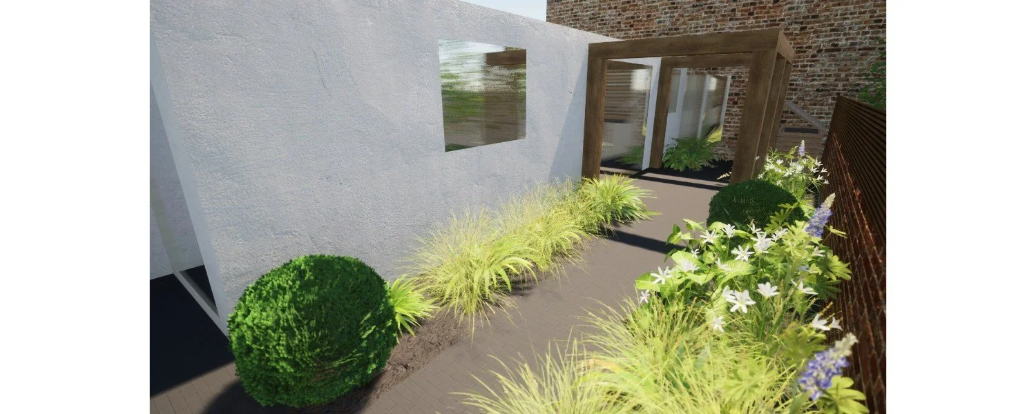 umber-garden-design-leamington-spa-box-balls-path-grasses-render.jpg