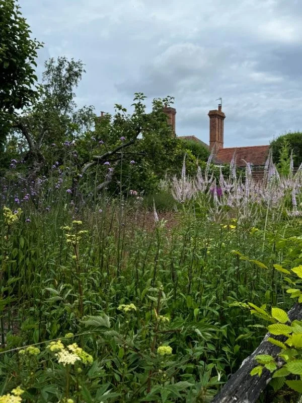 cottage-garden-border-veronicastrum-verbena-farmhouse.jpg