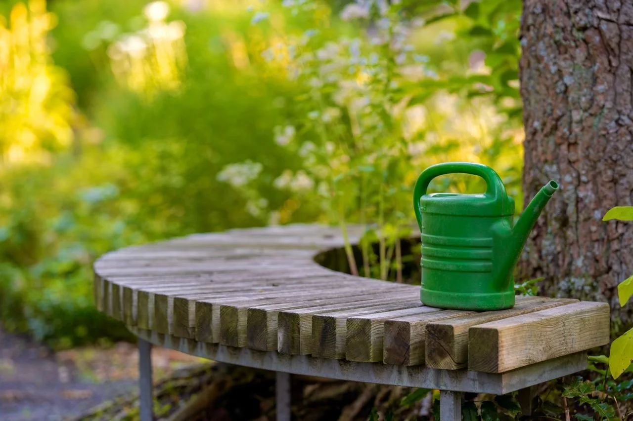 The Discipline of Doing Less: Designing a Low-Maintenance Garden That Looks After Itself