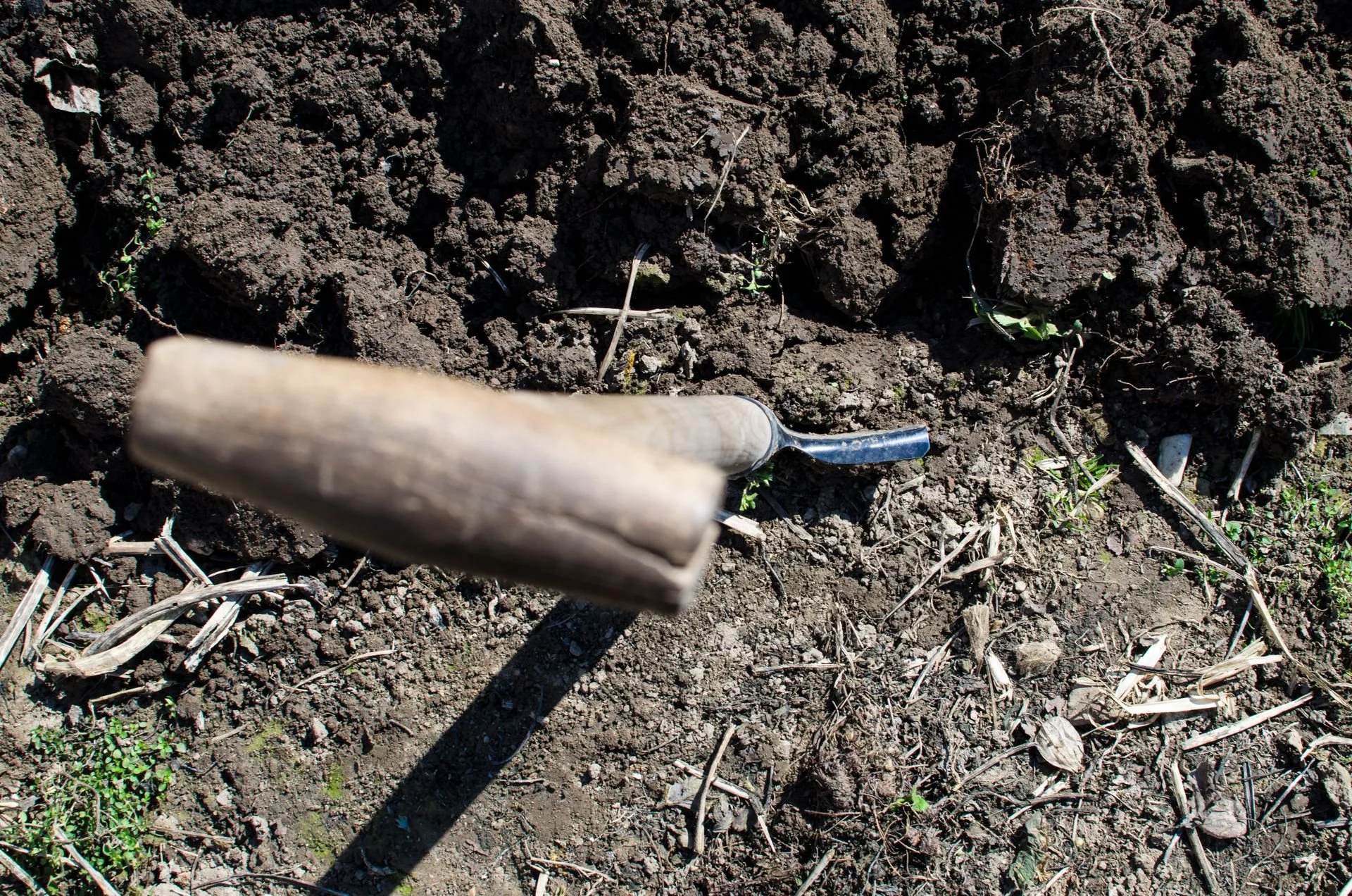 Soil