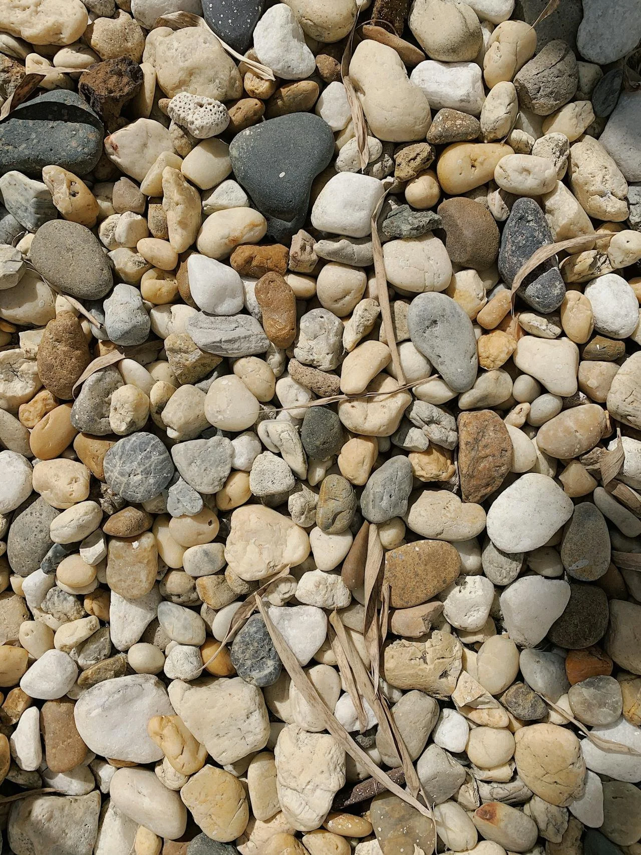 Pea Gravel: What It Is, Where It Works and What to Consider