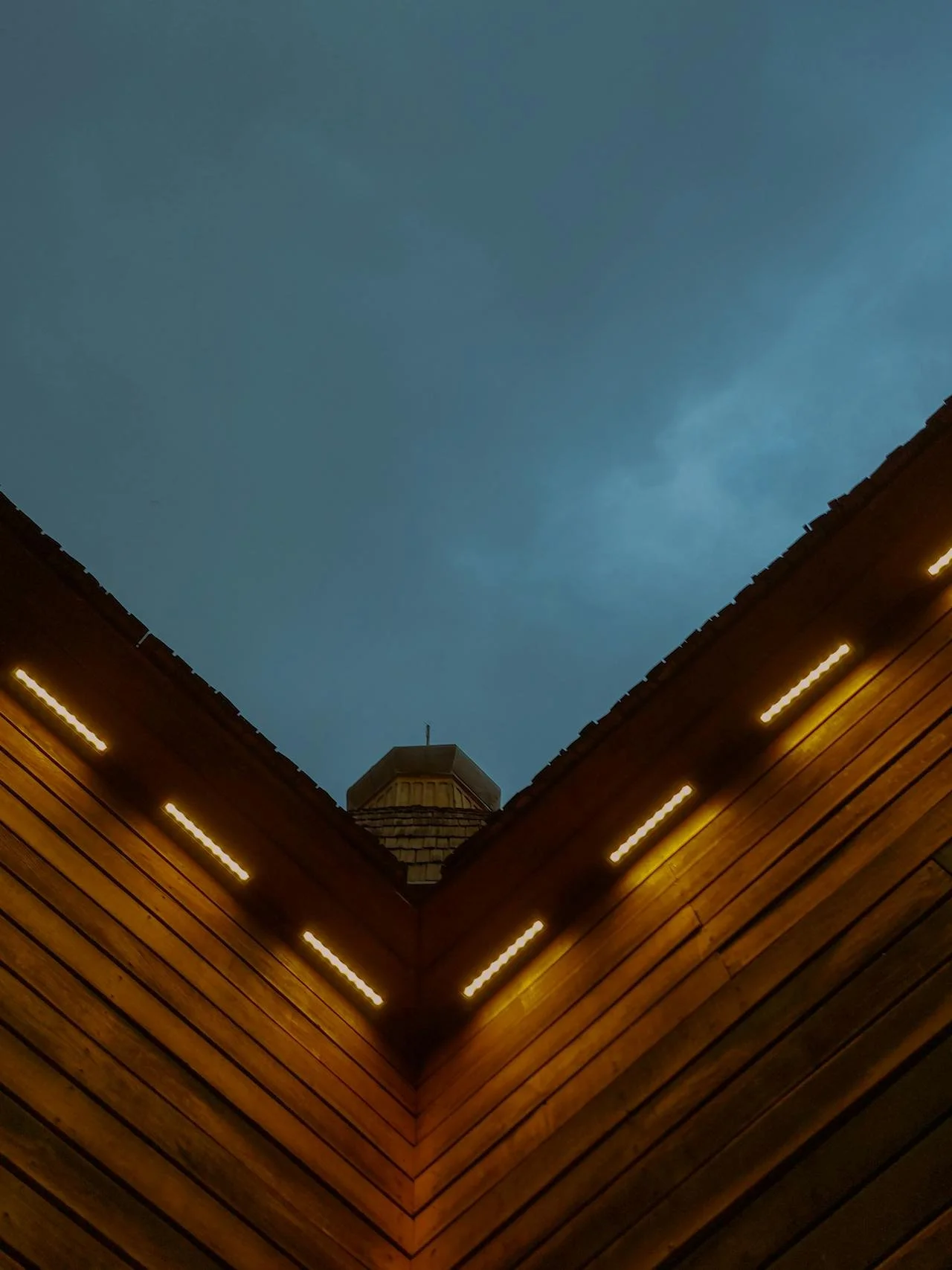 Downlighting in the Garden: Subtle Illumination That Lasts