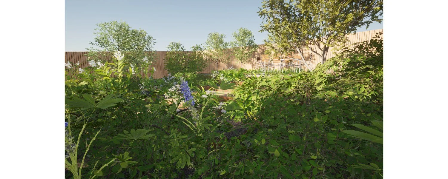 umber-garden-design-harbury-border-planting-delphiniums-terrace-render.jpg