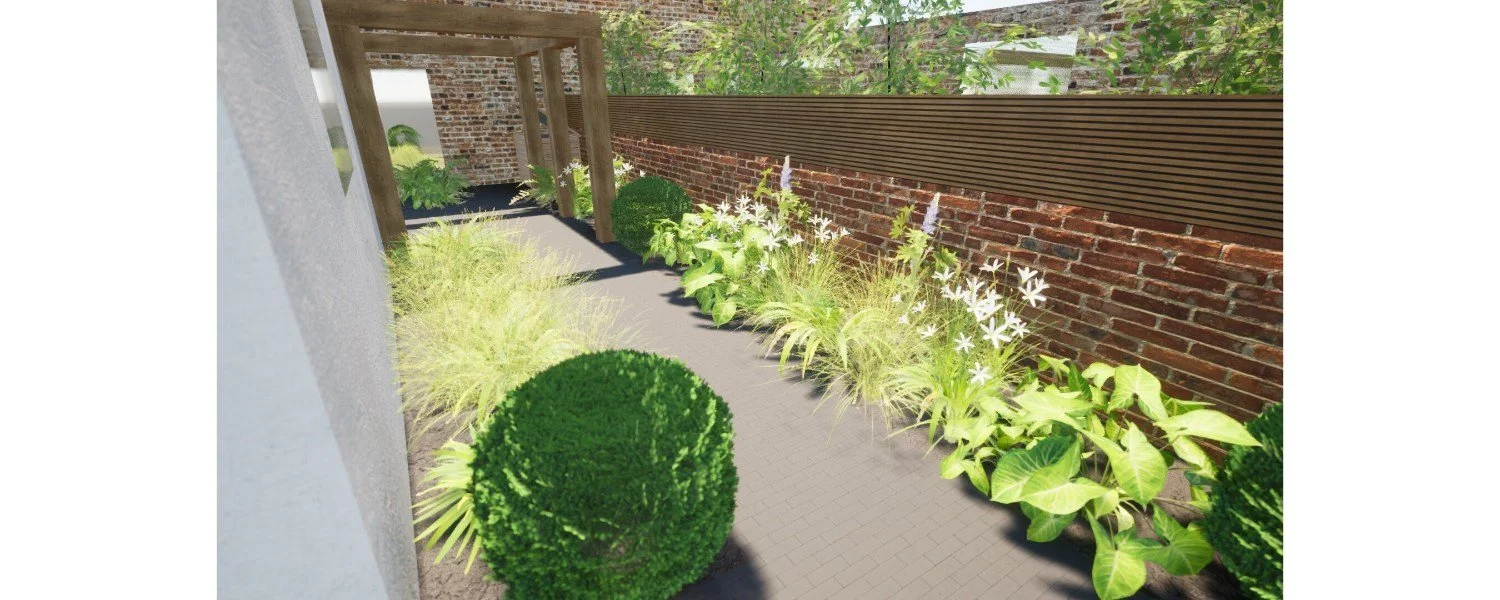 umber-garden-design-leamington-spa-box-topiary-planting-border-render.jpg