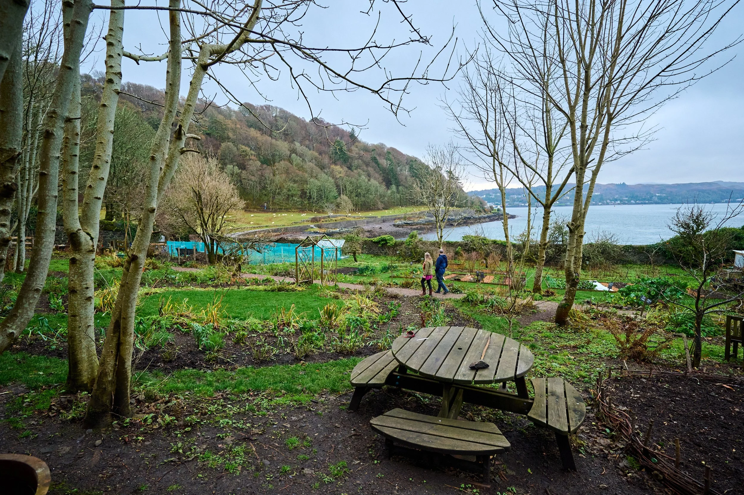HopeKitchen_Oban_November25_14.jpg