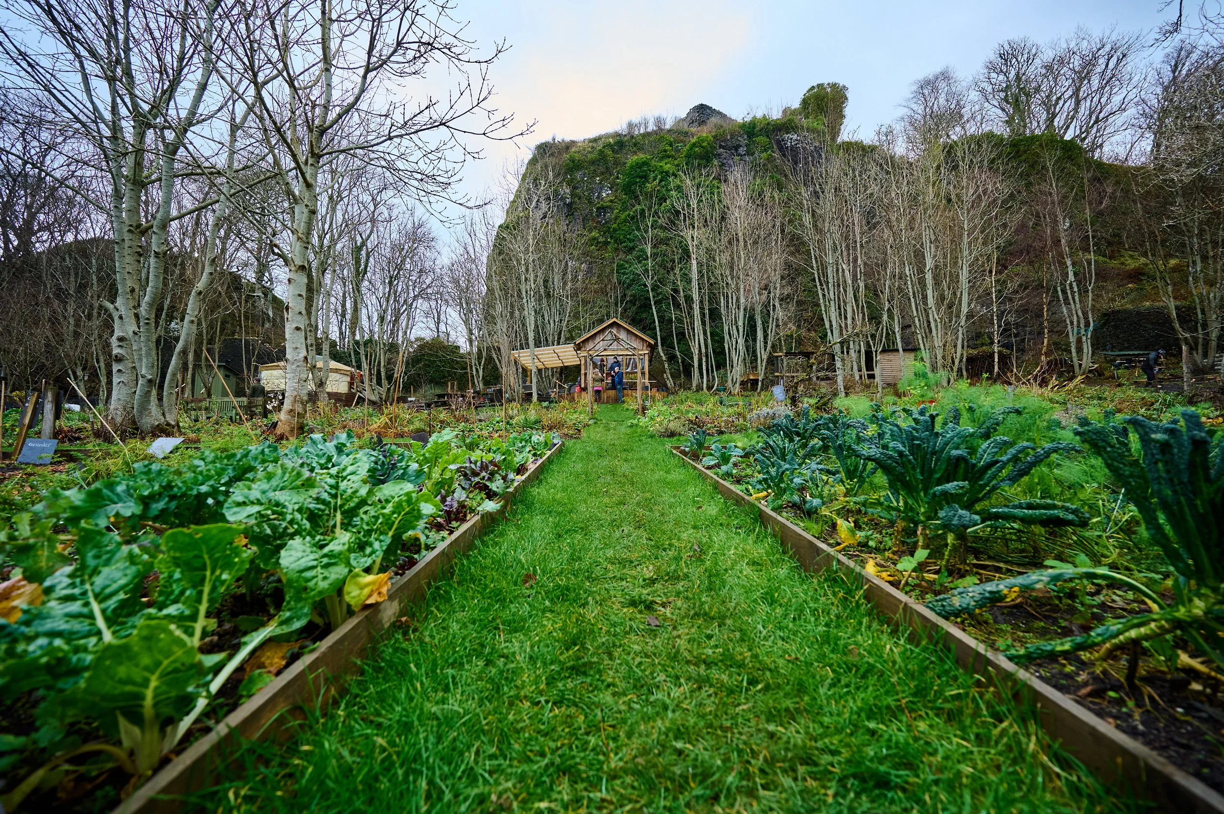 HopeKitchen_Oban_November25_03.jpg