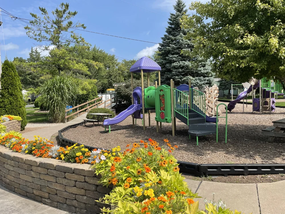 Transient Camping — Cedarlane RV Resort