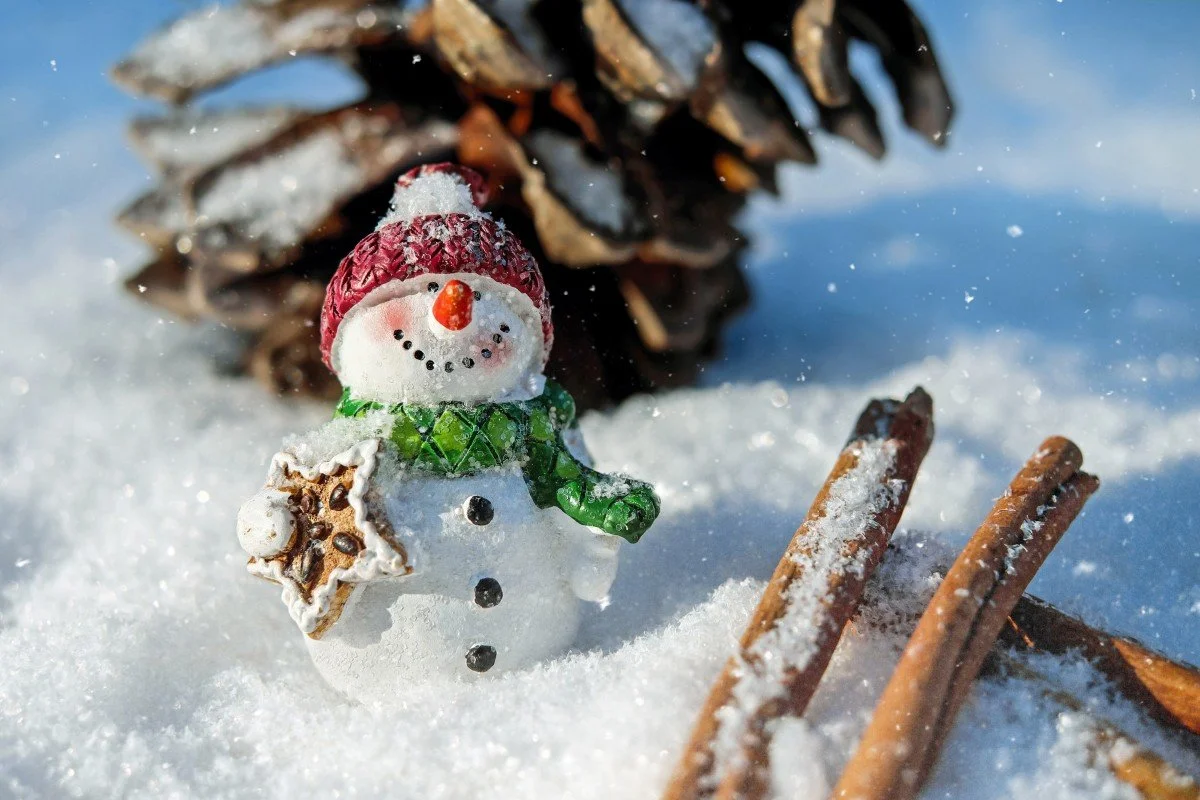 Holiday Gift Ideas for RVers