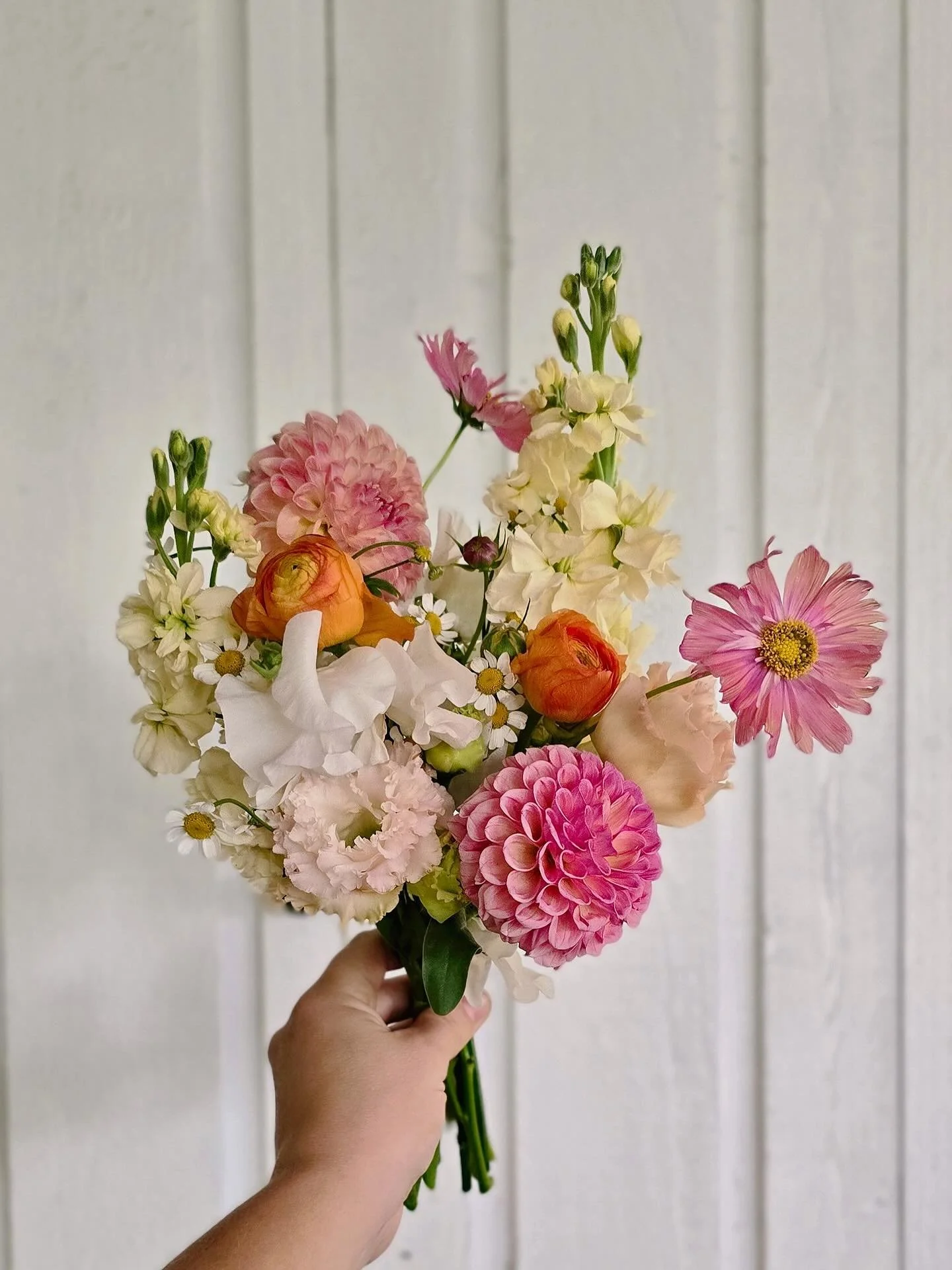 Creamsicle, butter, pink lemonade - we can&rsquo;t get away from these cherry spring colors even as autumn arrives! After Morgan and Michael secured their date in the summer of 2024, we had plenty of time to dream together about the floral design for