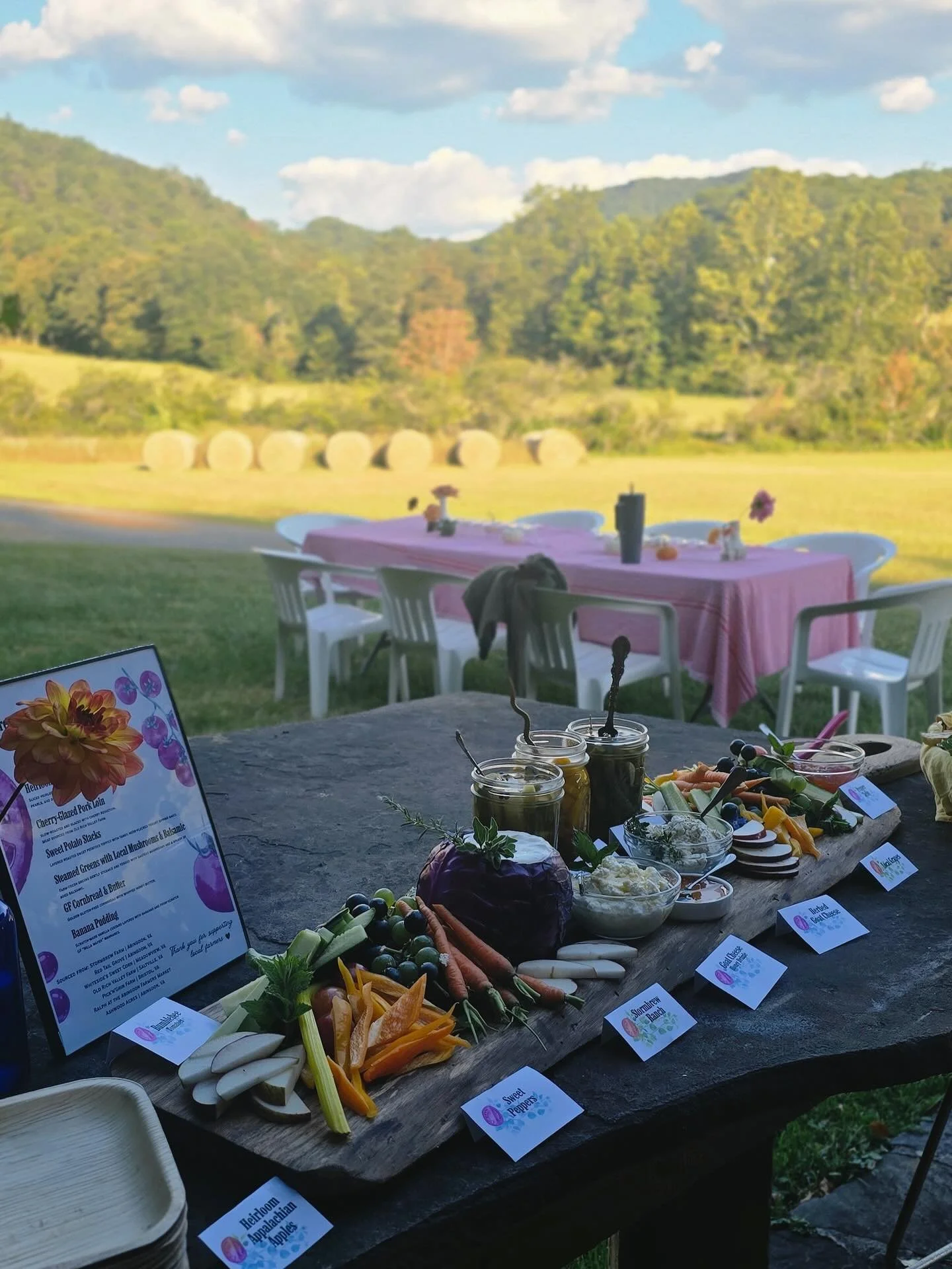 Farm-to-table private dinners! About a month ago we had the opportunity to cater a dinner for a mom&rsquo;s trip in Hungry Mother state park. Our guests enjoyed the combination of Appalachia&rsquo;s rich regional cuisine alongside the backdrop of our