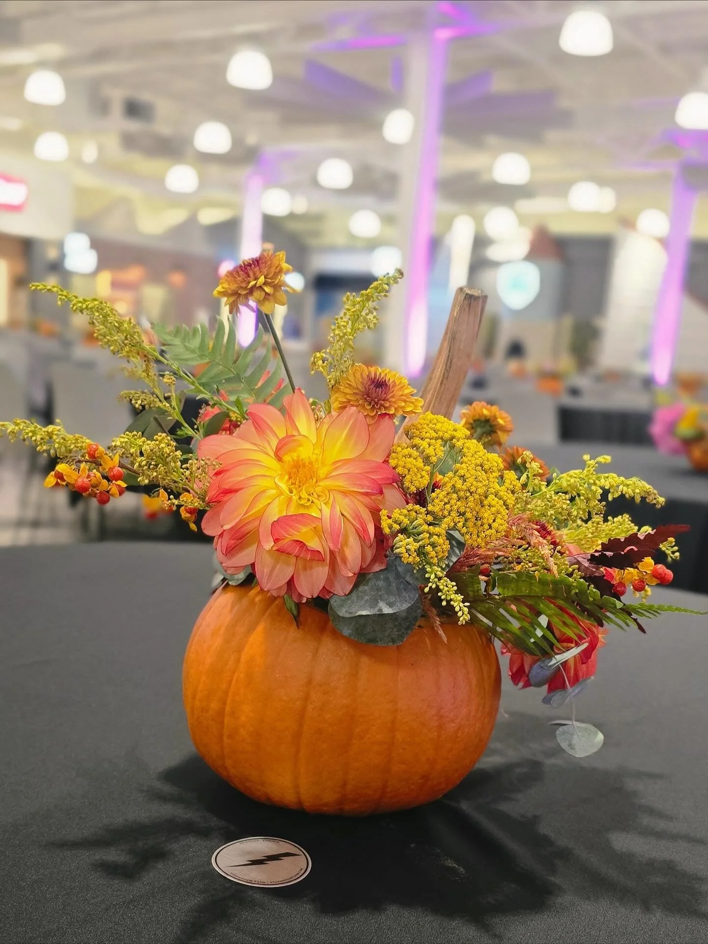 Last week we contributed a touch of local fall beauty to the  Sisterhood Gathering with First Lady of Virginia Suzanne Youngkin. These autumn themed centerpieces nestled in mini pumpkins created a warm, seasonal atmosphere that celebrated SWVA. 

Tha